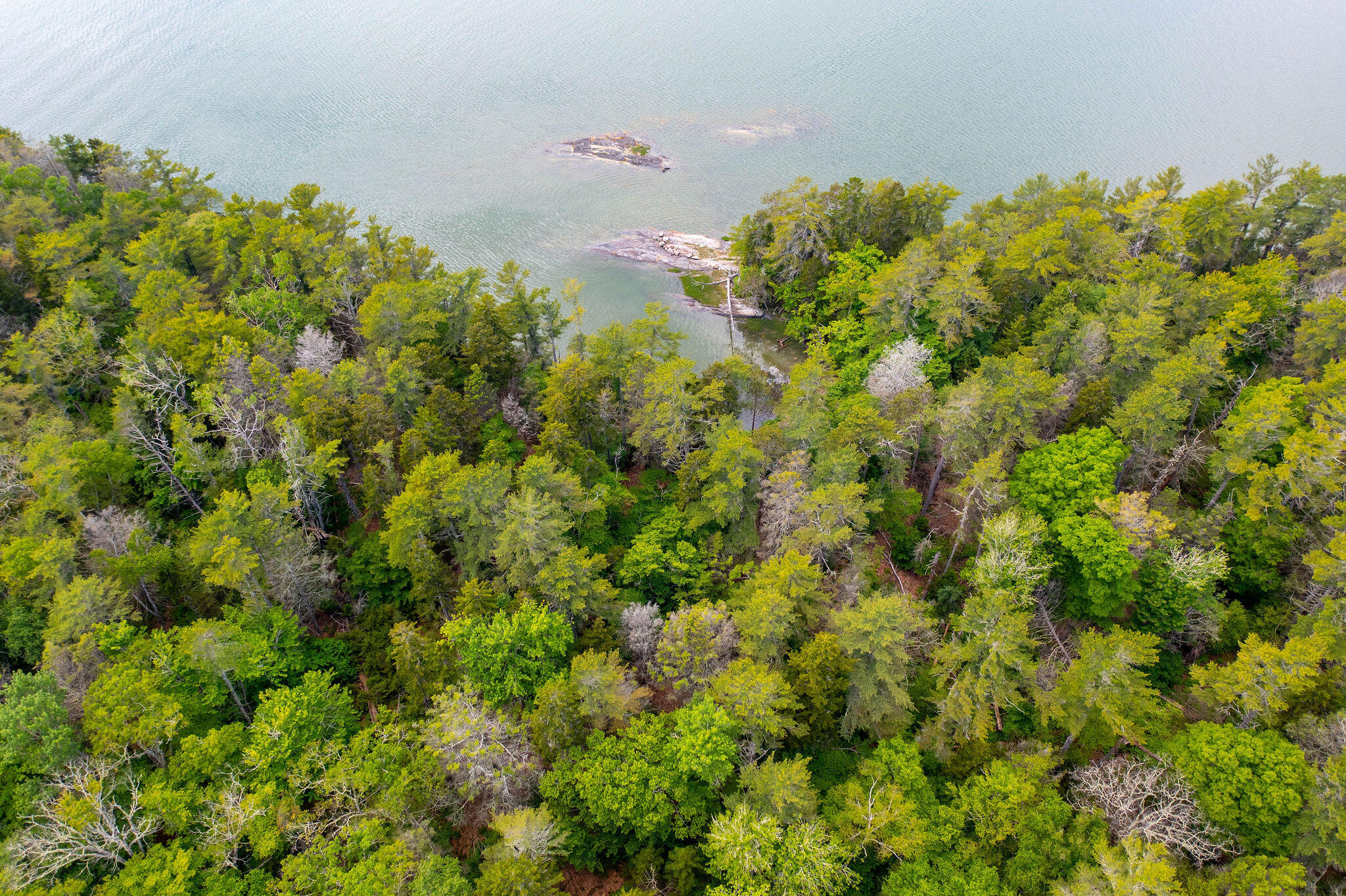 Map 80 Lot 18-0 White Island Property Photo 4