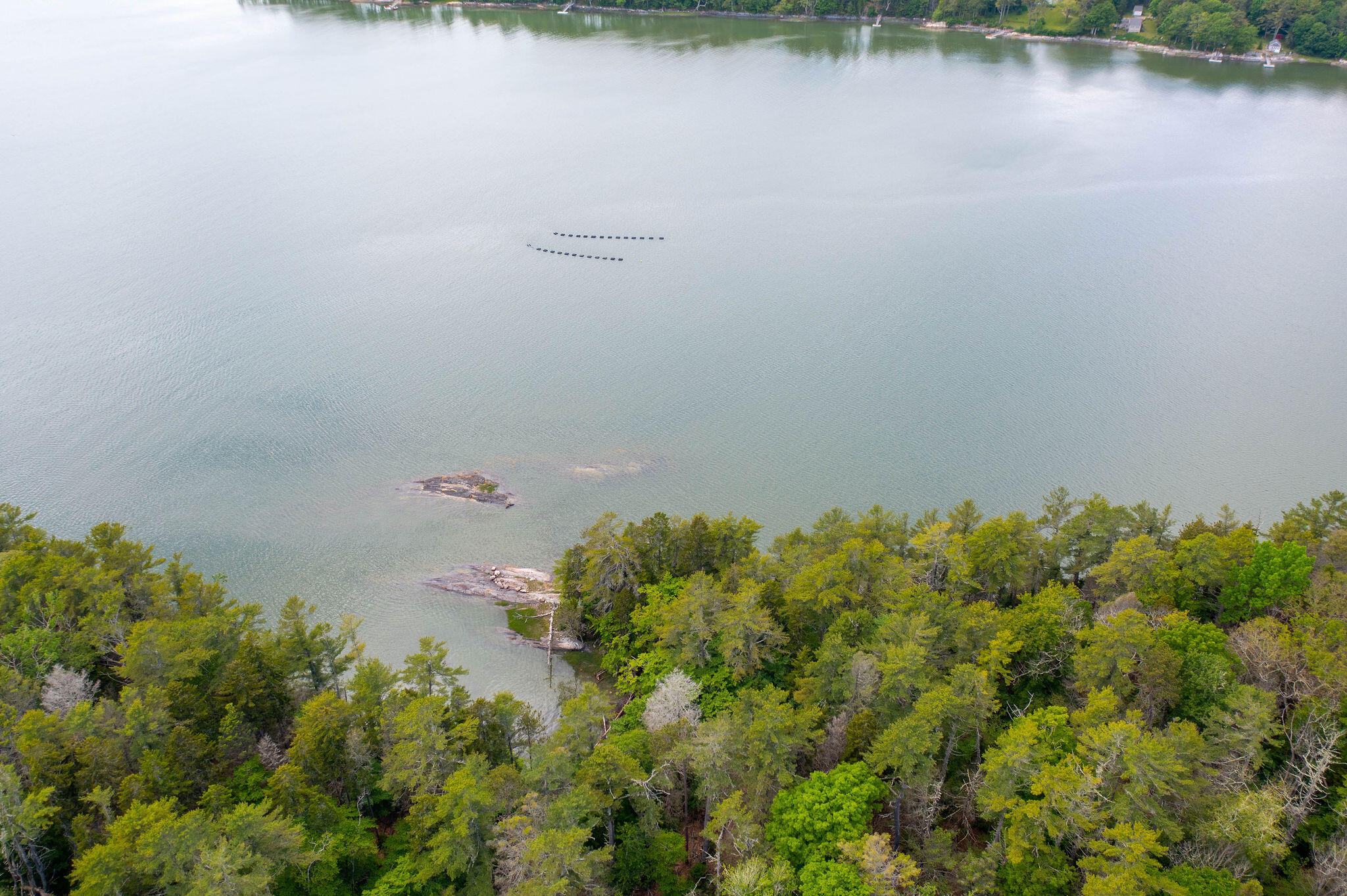 Map 80 Lot 18-0 White Island Property Photo 6