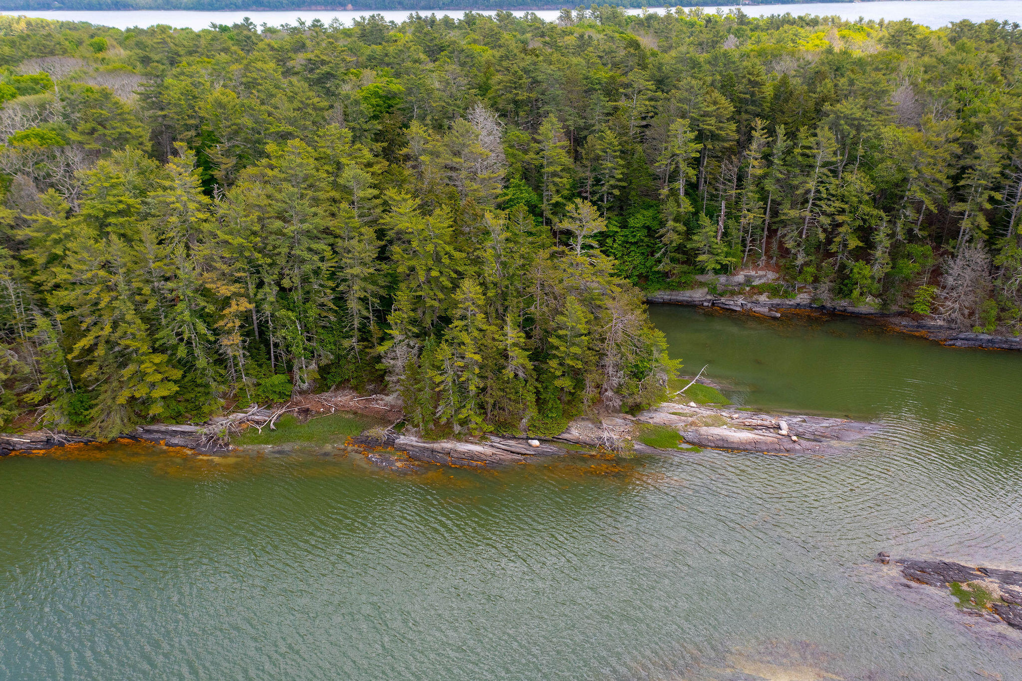 Map 80 Lot 18-0 White Island Property Photo 7