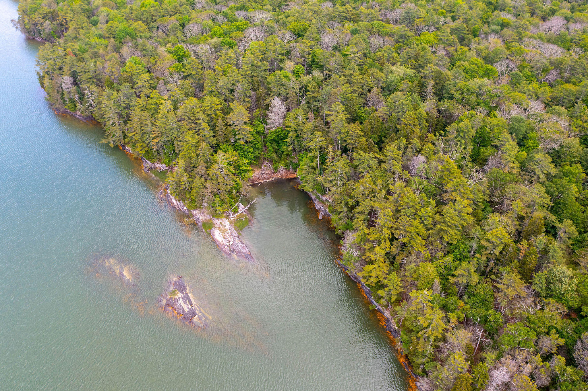 Map 80 Lot 18-0 White Island Property Photo 8