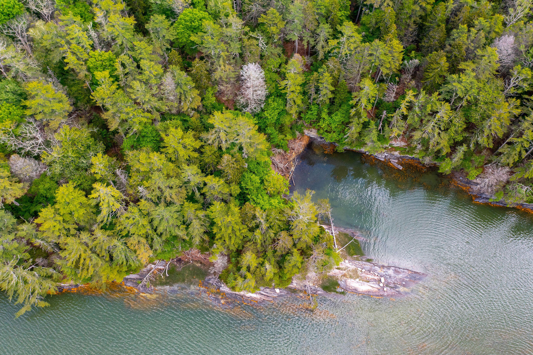 Map 80 Lot 18-0 White Island Property Photo 10