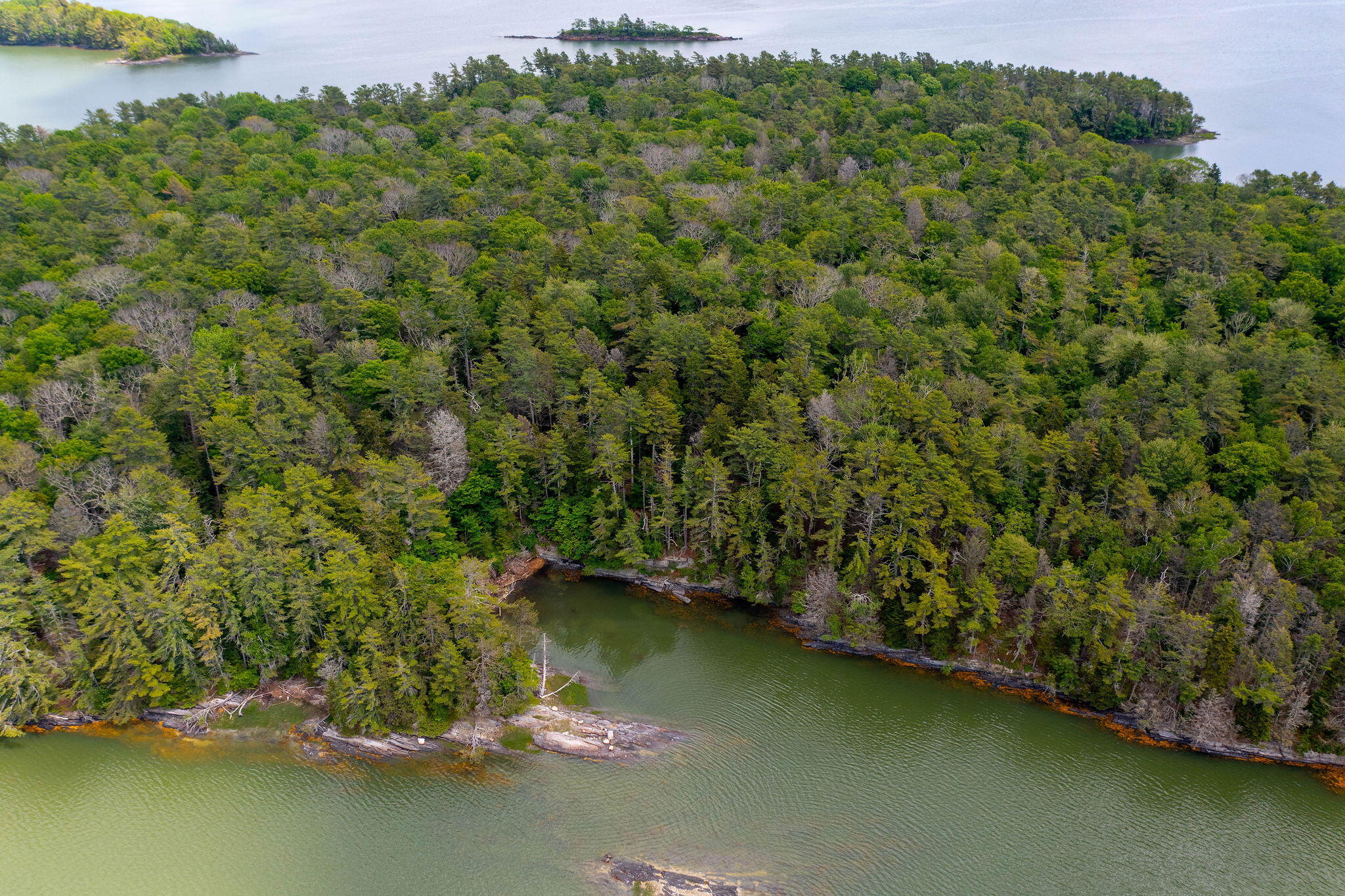 Map 80 Lot 18-0 White Island Property Photo 12