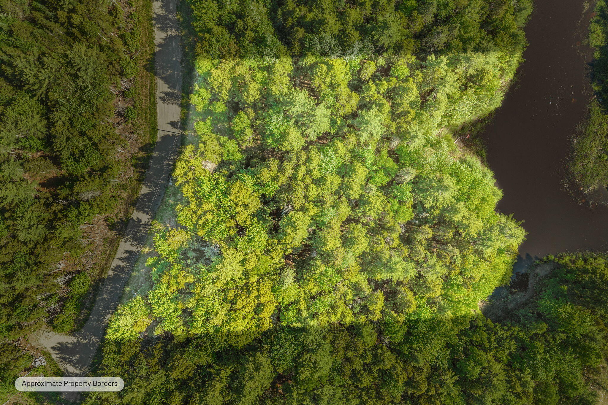 Lot 58 Bufford Drive Property Photo 1
