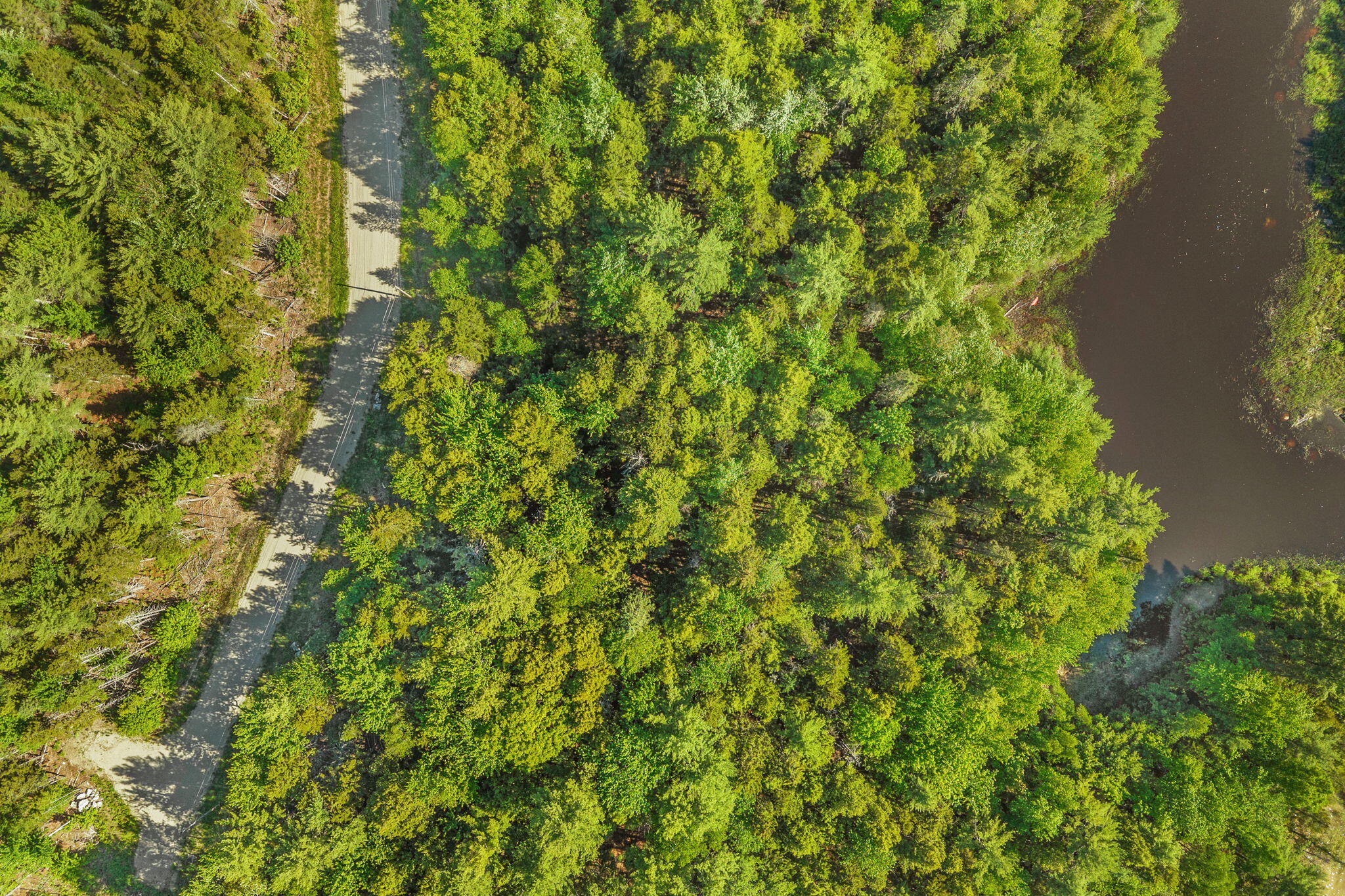 Lot 58 Bufford Drive Property Photo 8