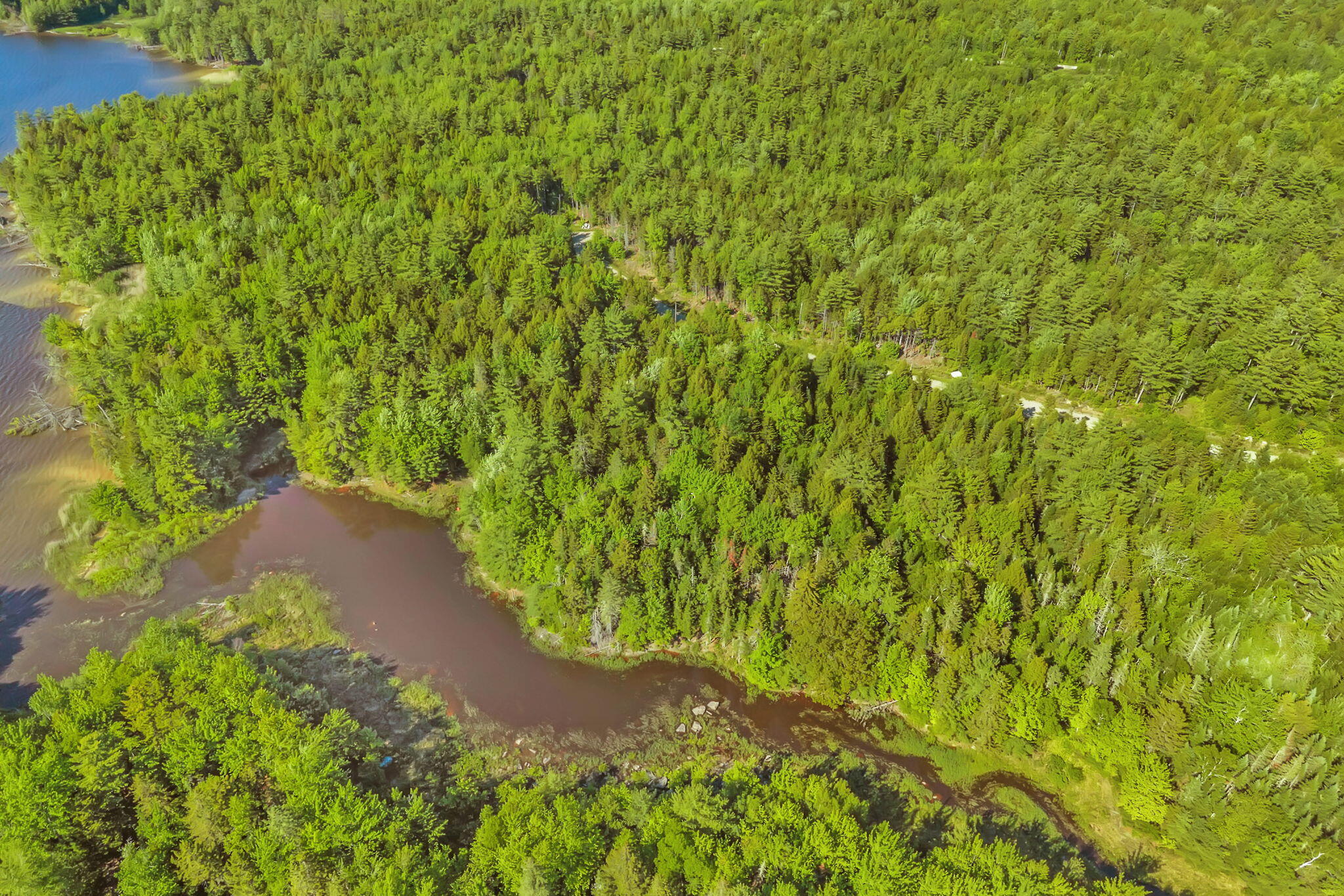 Lot 58 Bufford Drive Property Photo 9
