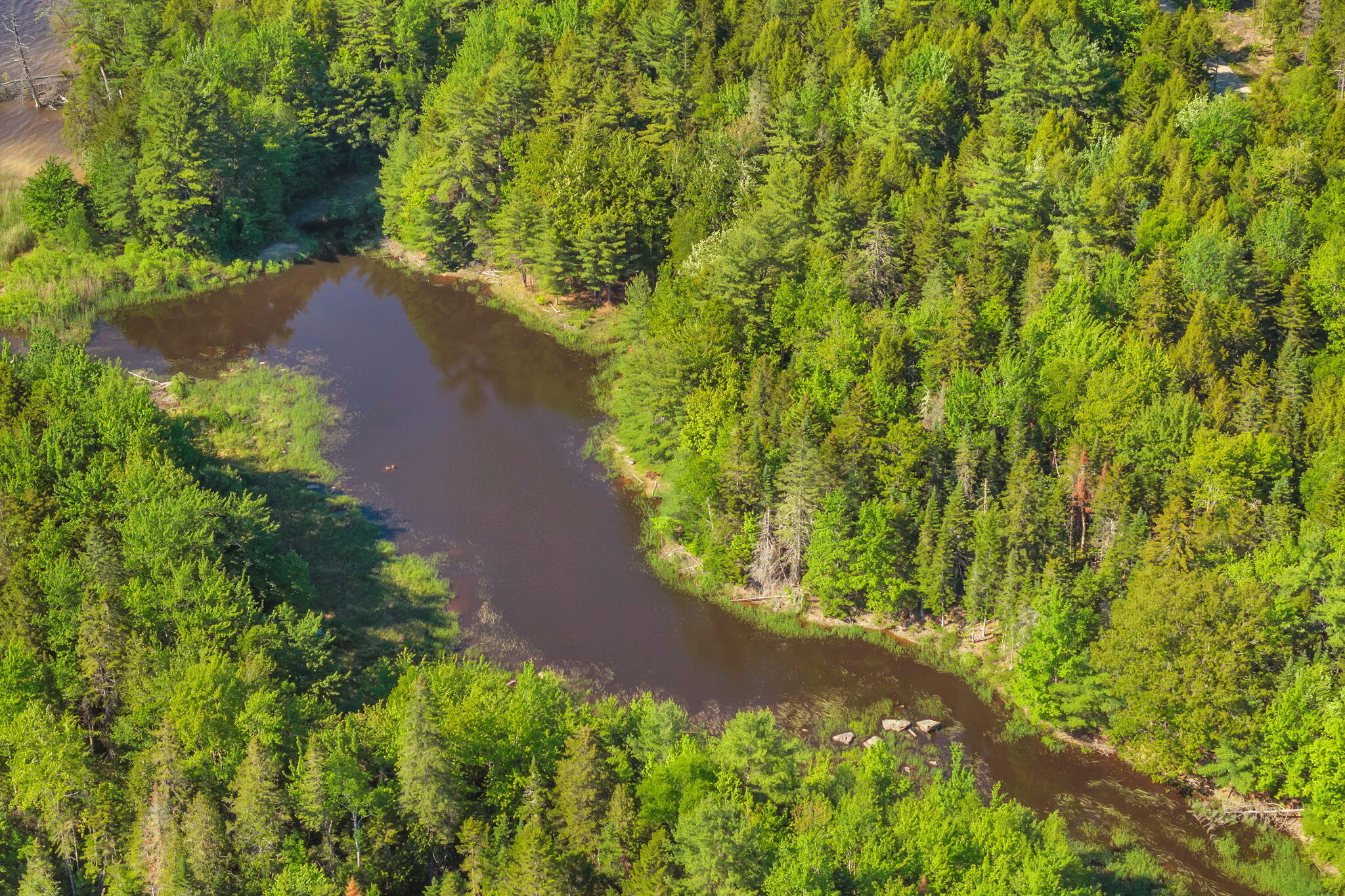 Lot 58 Bufford Drive Property Photo 14