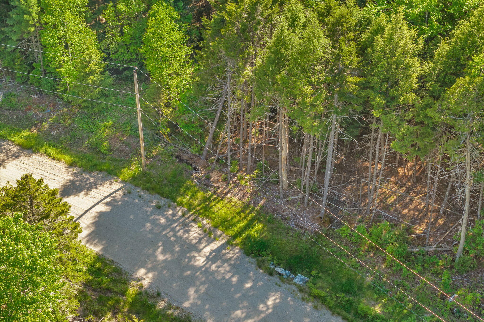 Lot 58 Bufford Drive Property Photo 19