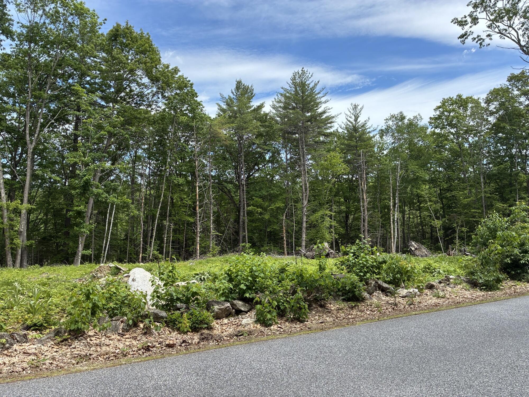 Map7lot40 Round The Pond Road Property Photo 1