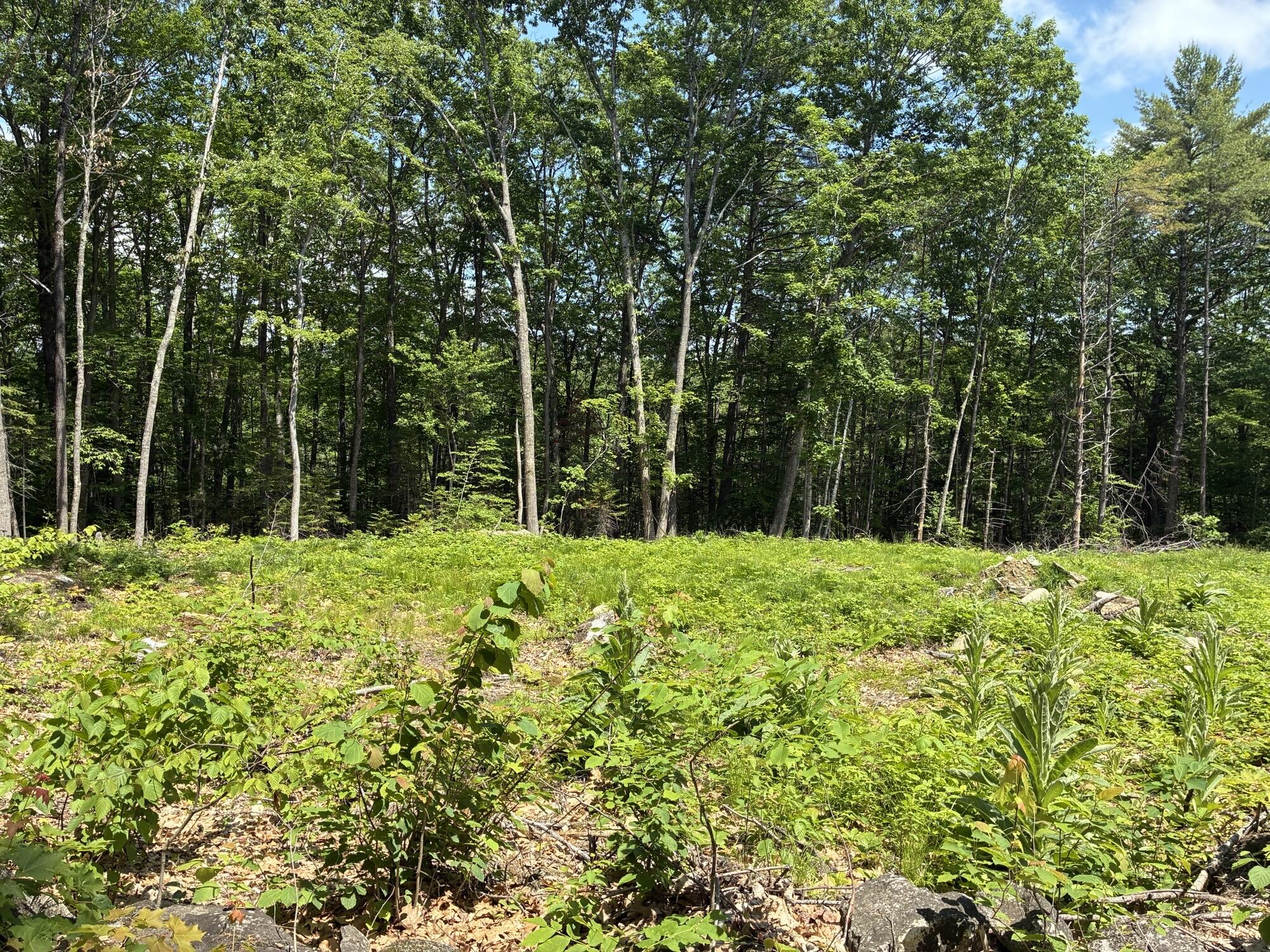Map7lot40 Round The Pond Road Property Photo 2