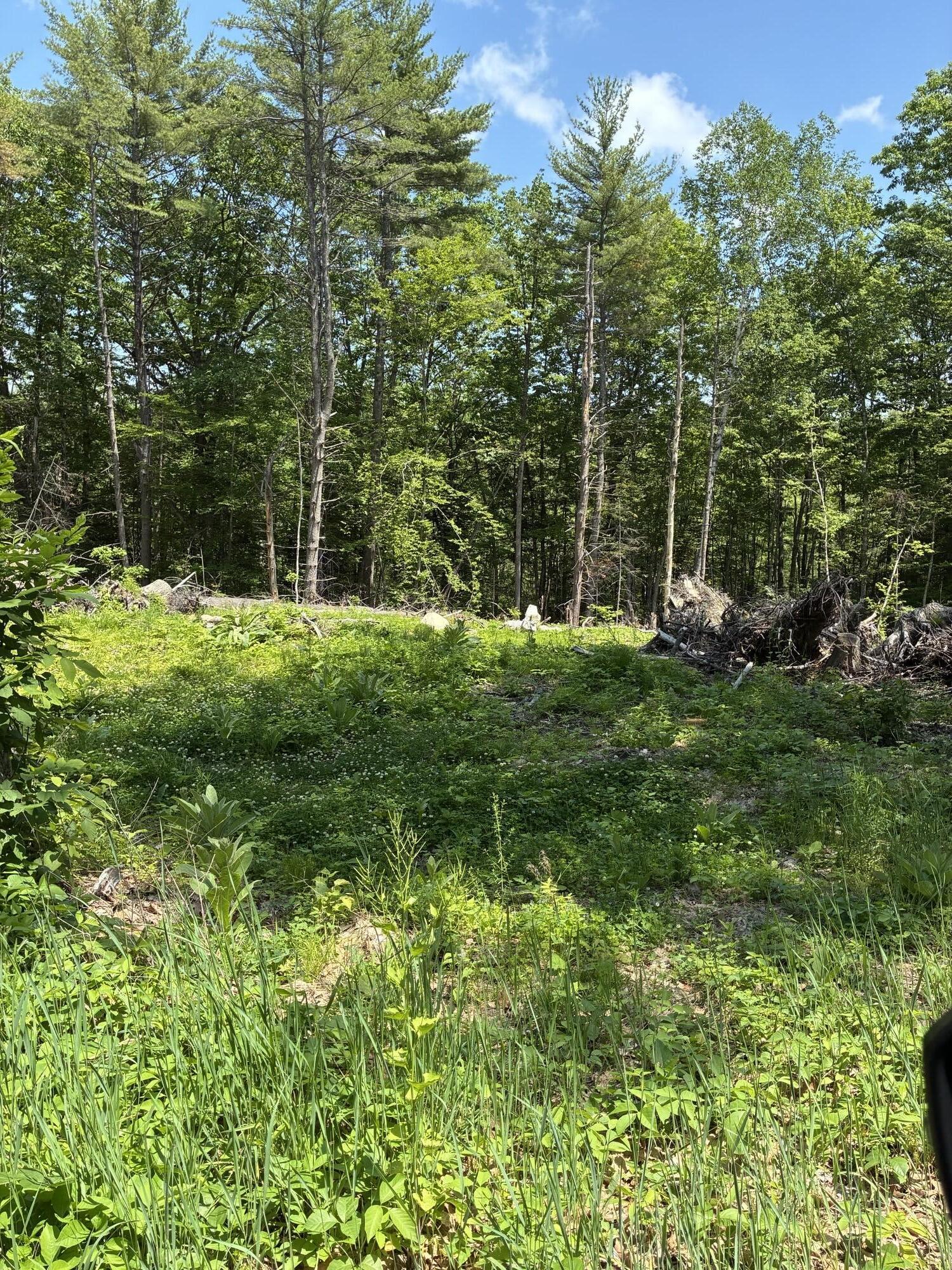 Map7lot40 Round The Pond Road Property Photo 3