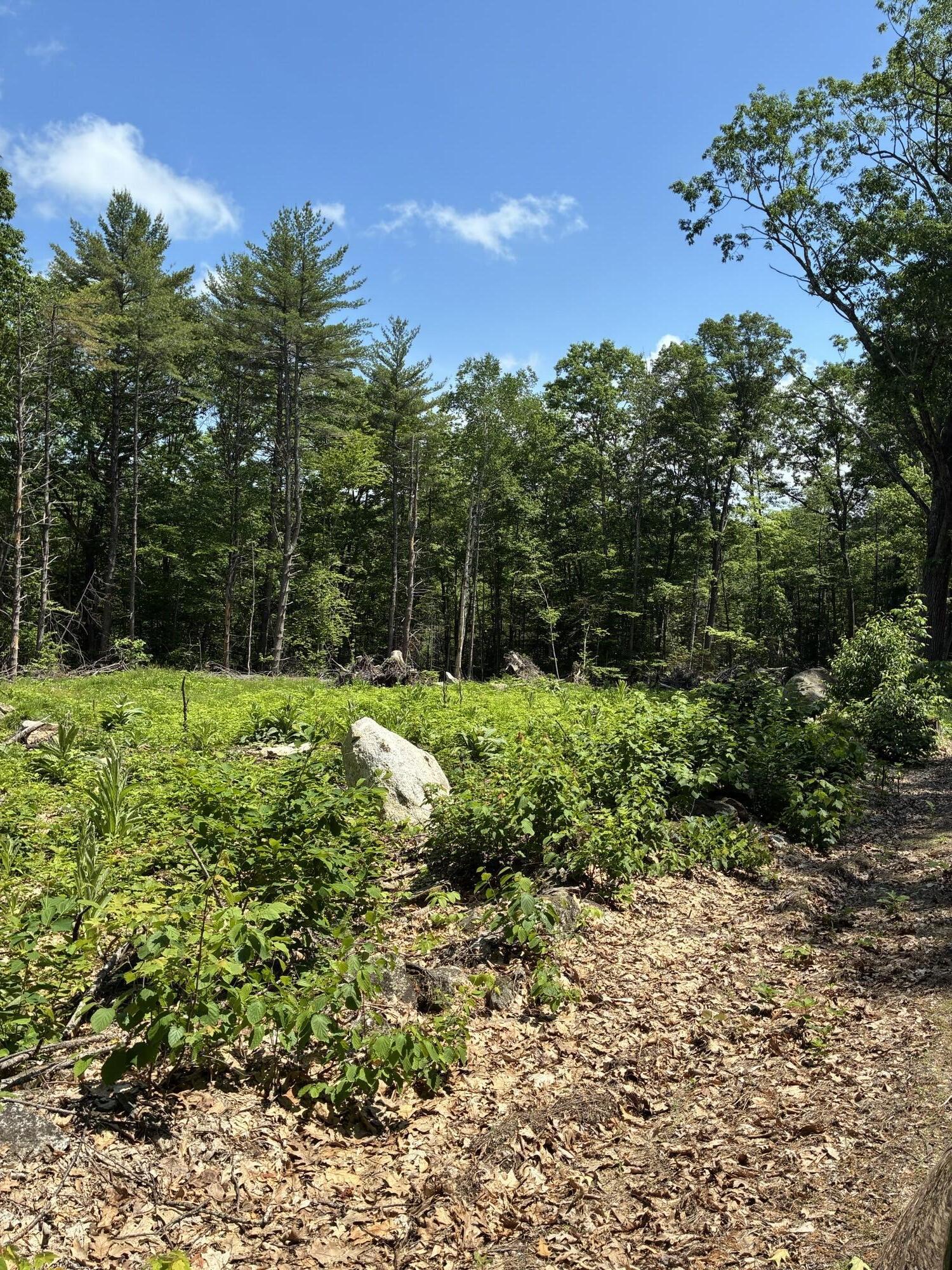 Map7lot40 Round The Pond Road Property Photo 4