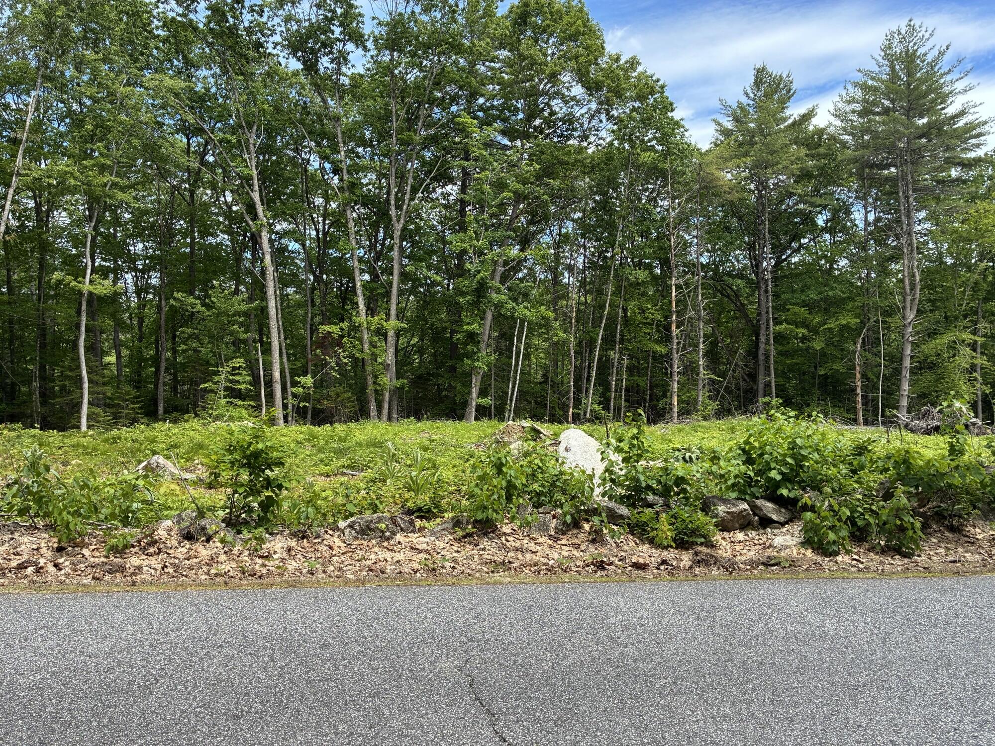 Map7lot40 Round The Pond Road Property Photo 5
