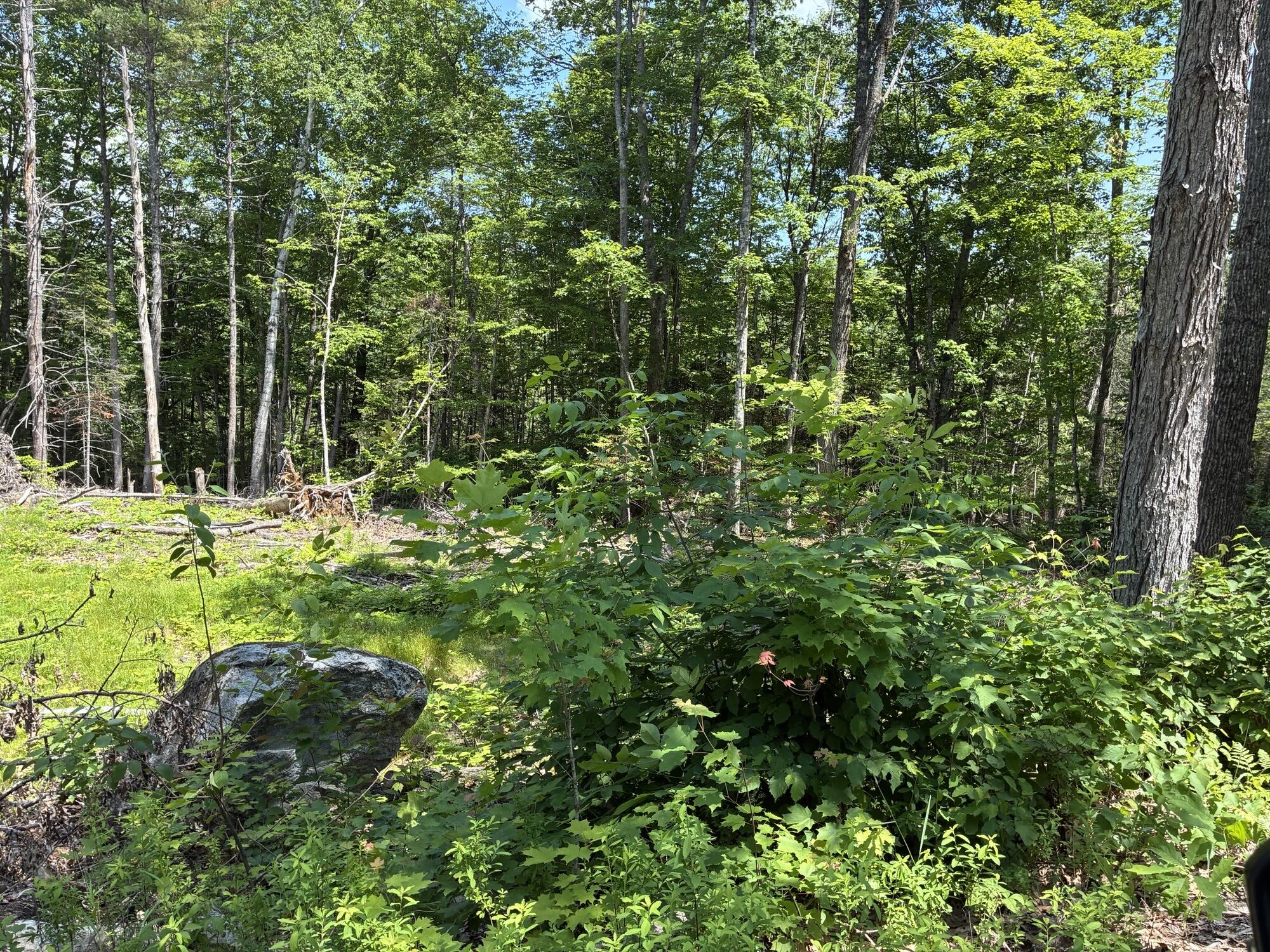 Map7lot40 Round The Pond Road Property Photo 6