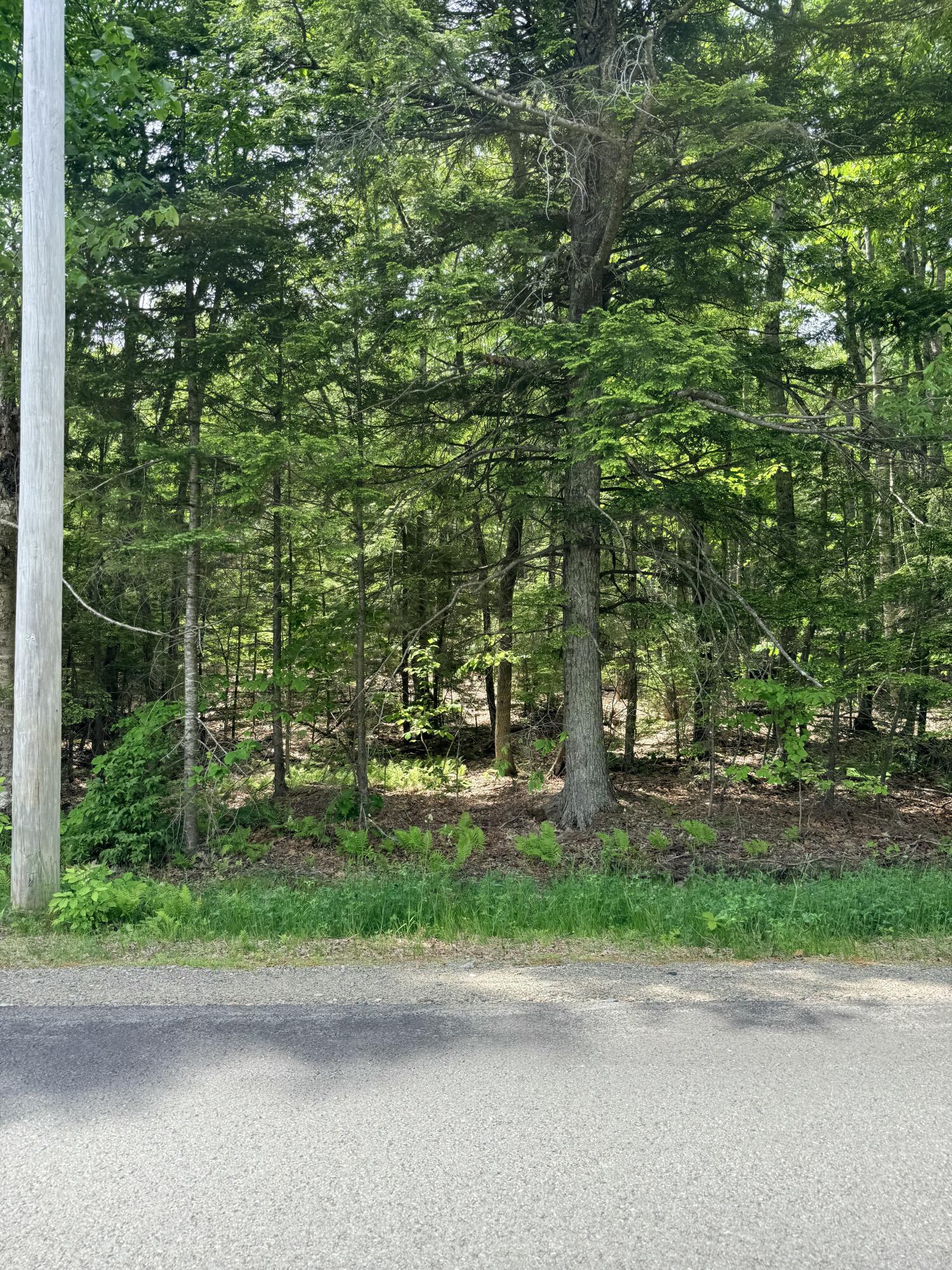 Lot #15 Greenacre Road Property Photo 6