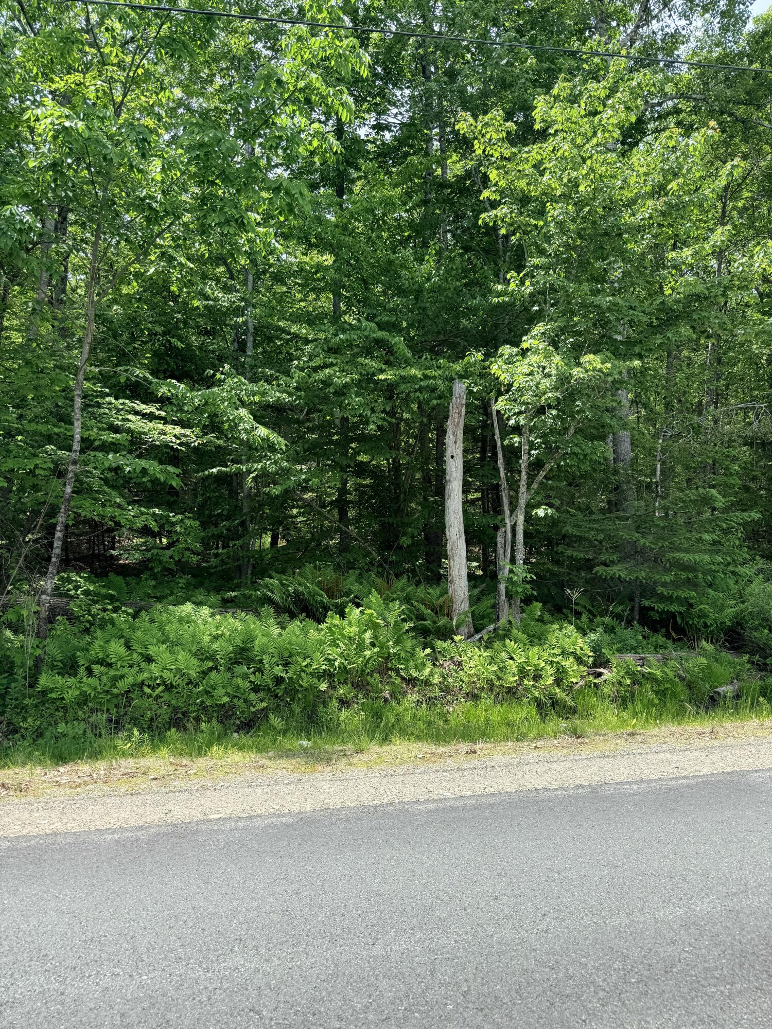 Lot #15 Greenacre Road Property Photo 8
