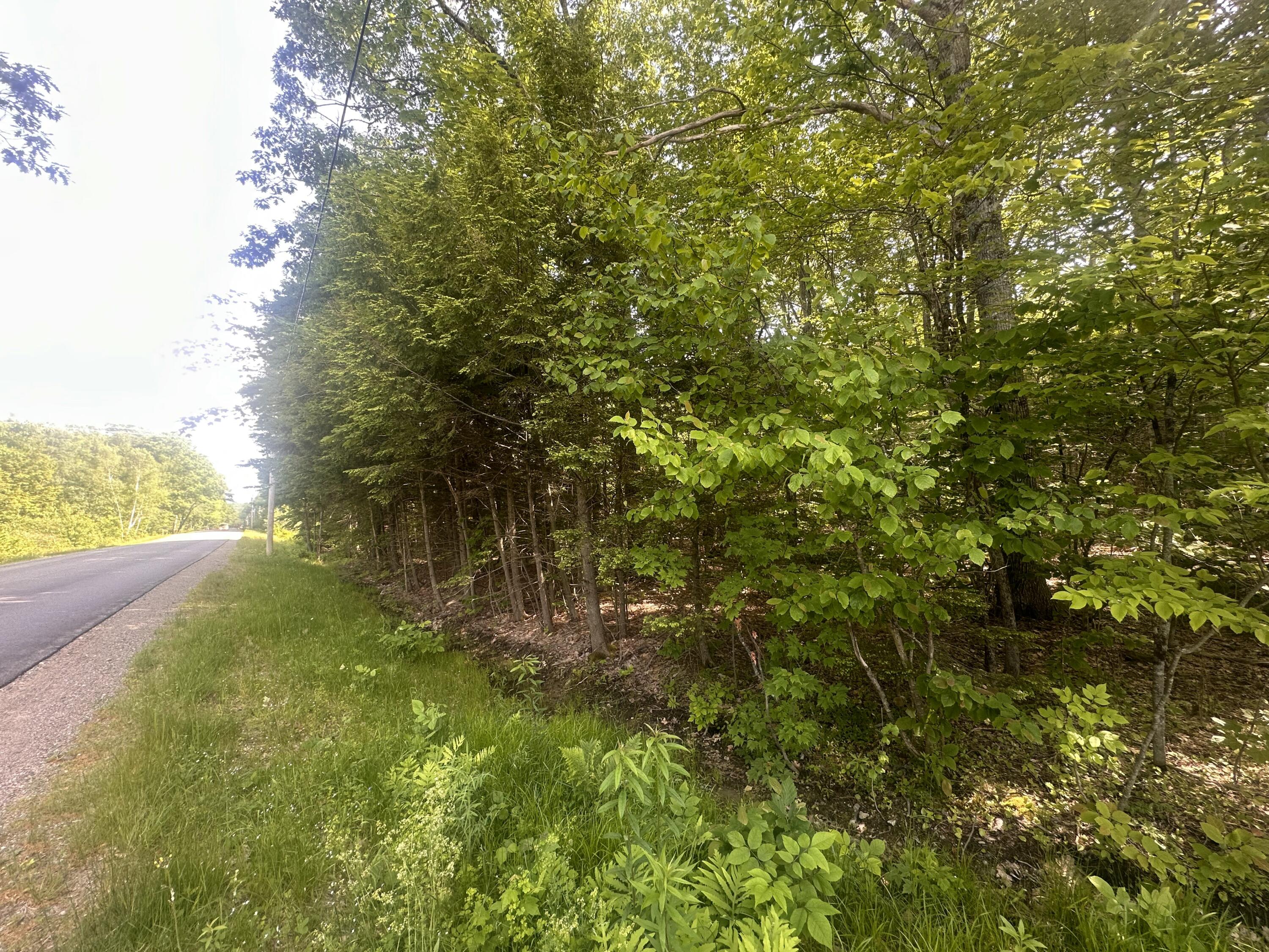 Lot #15 Greenacre Road Property Photo 11