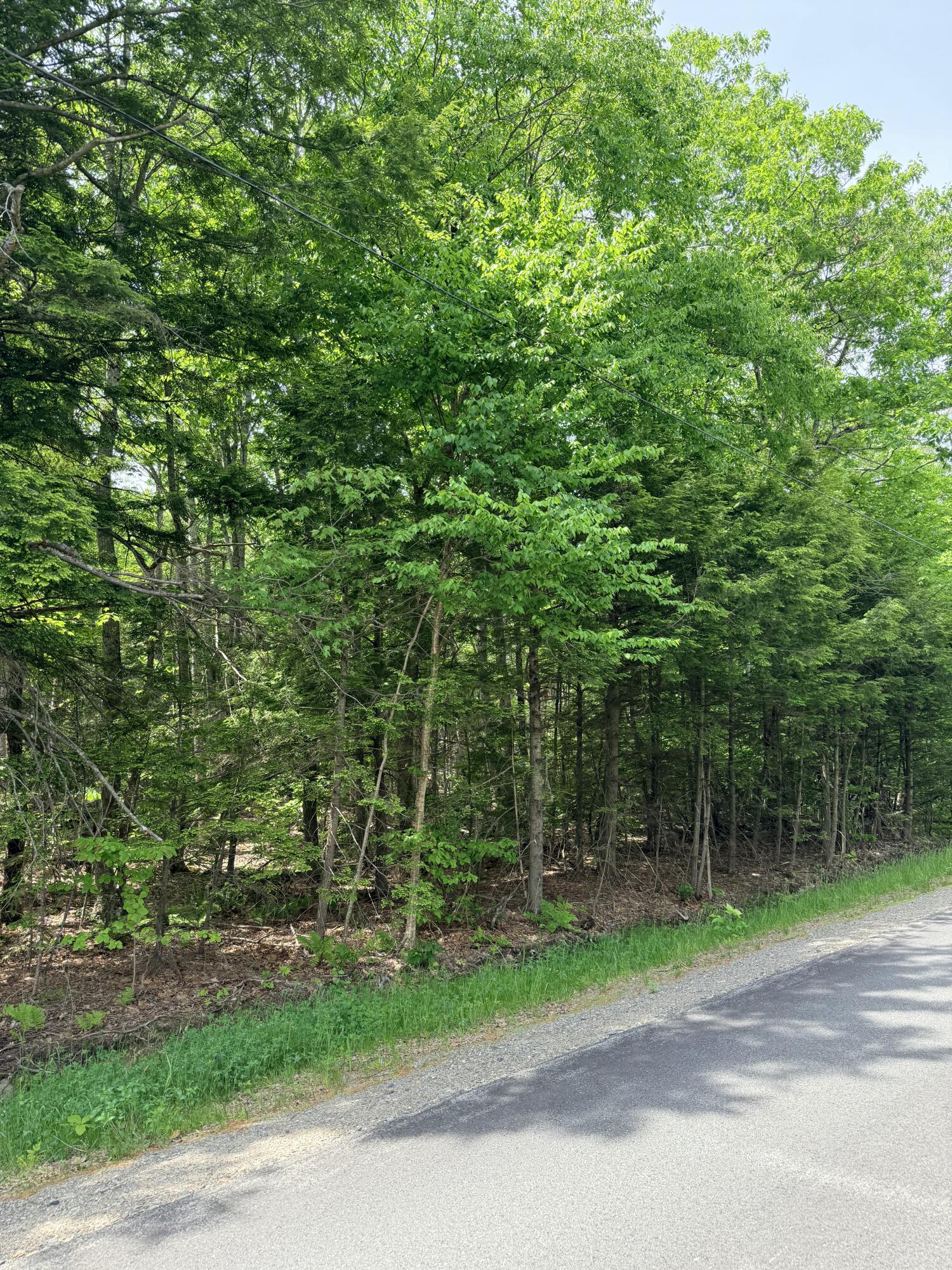 Lot #15 Greenacre Road Property Photo 14