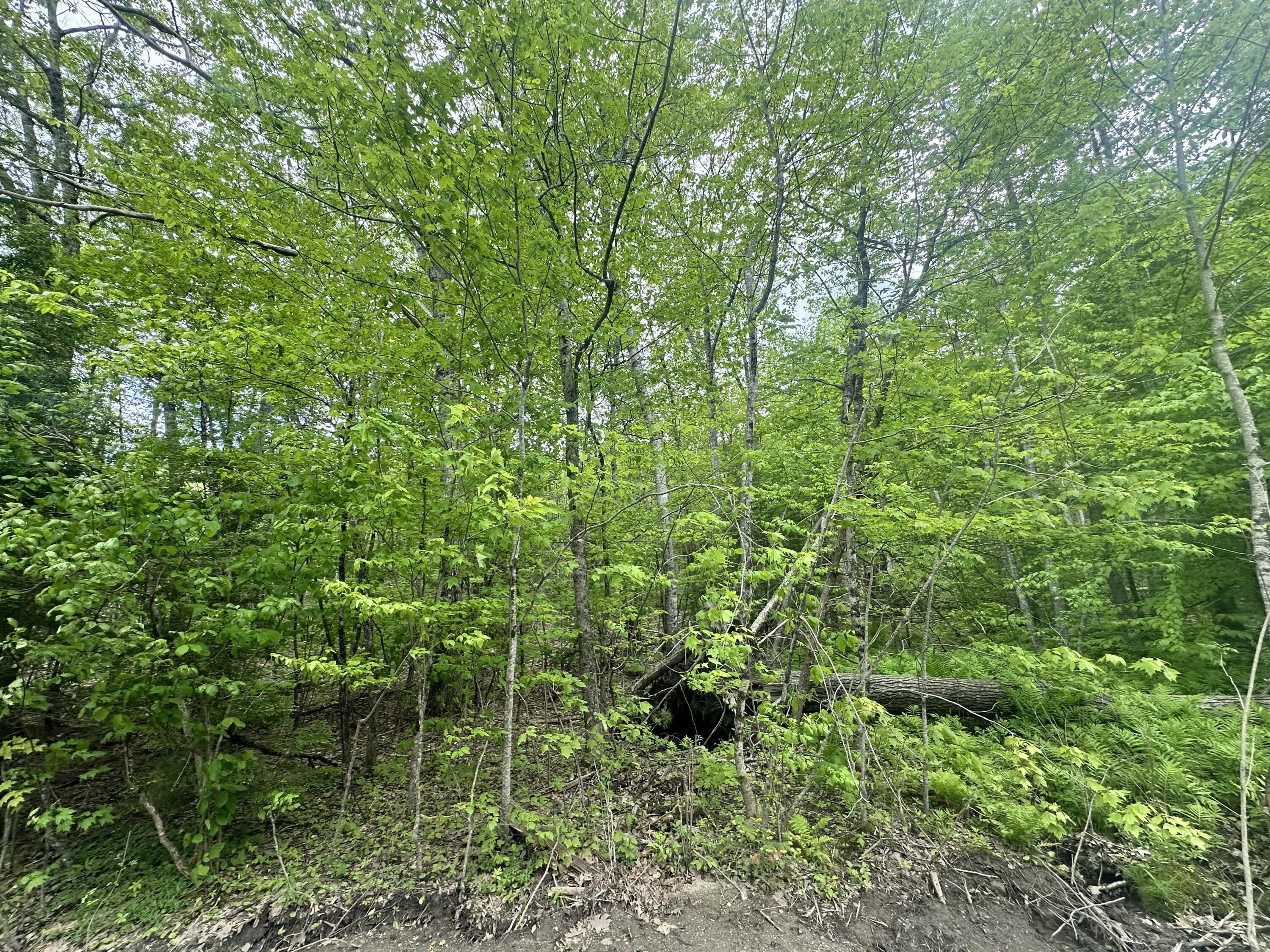 Lot #15 Greenacre Road Property Photo 18