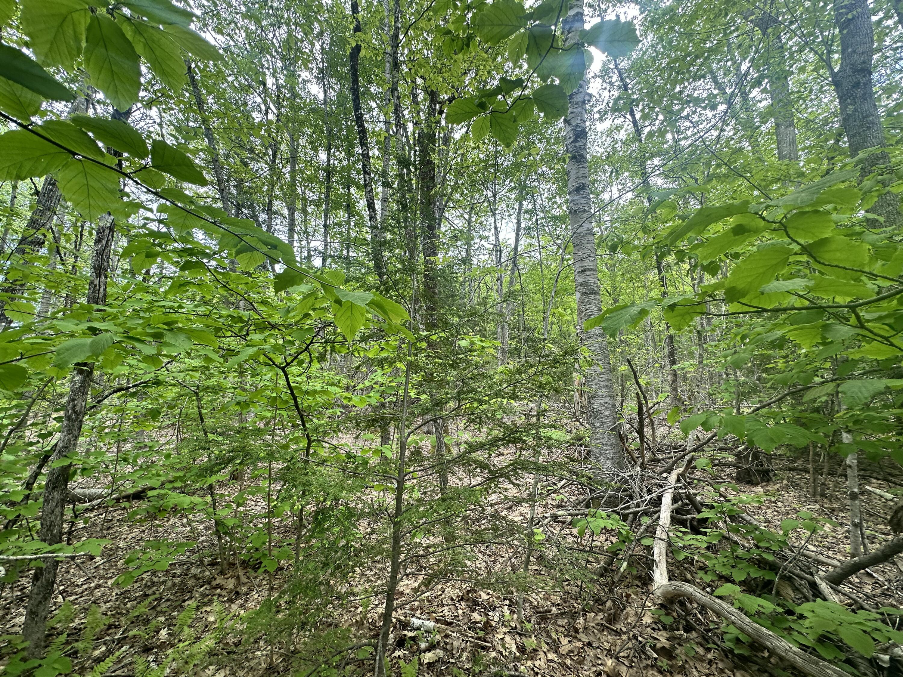 Lot #15 Greenacre Road Property Photo 19
