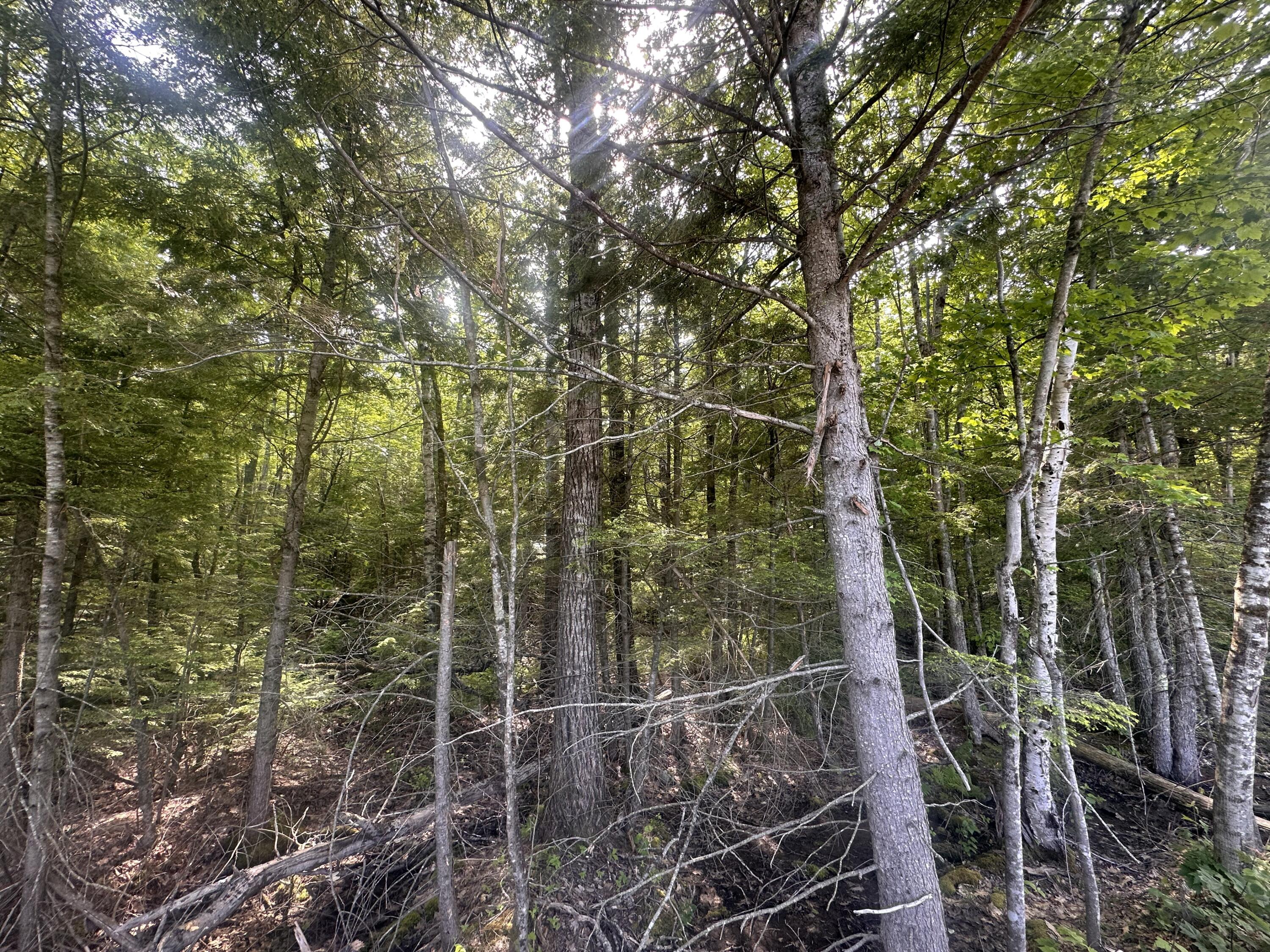 Lot #15 Greenacre Road Property Photo 20