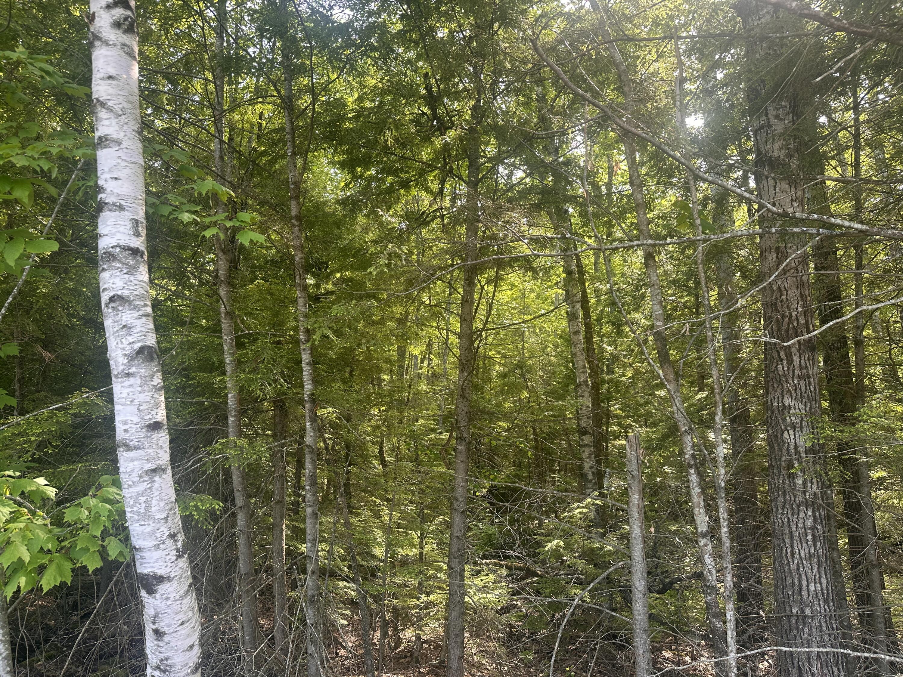 Lot #15 Greenacre Road Property Photo 21