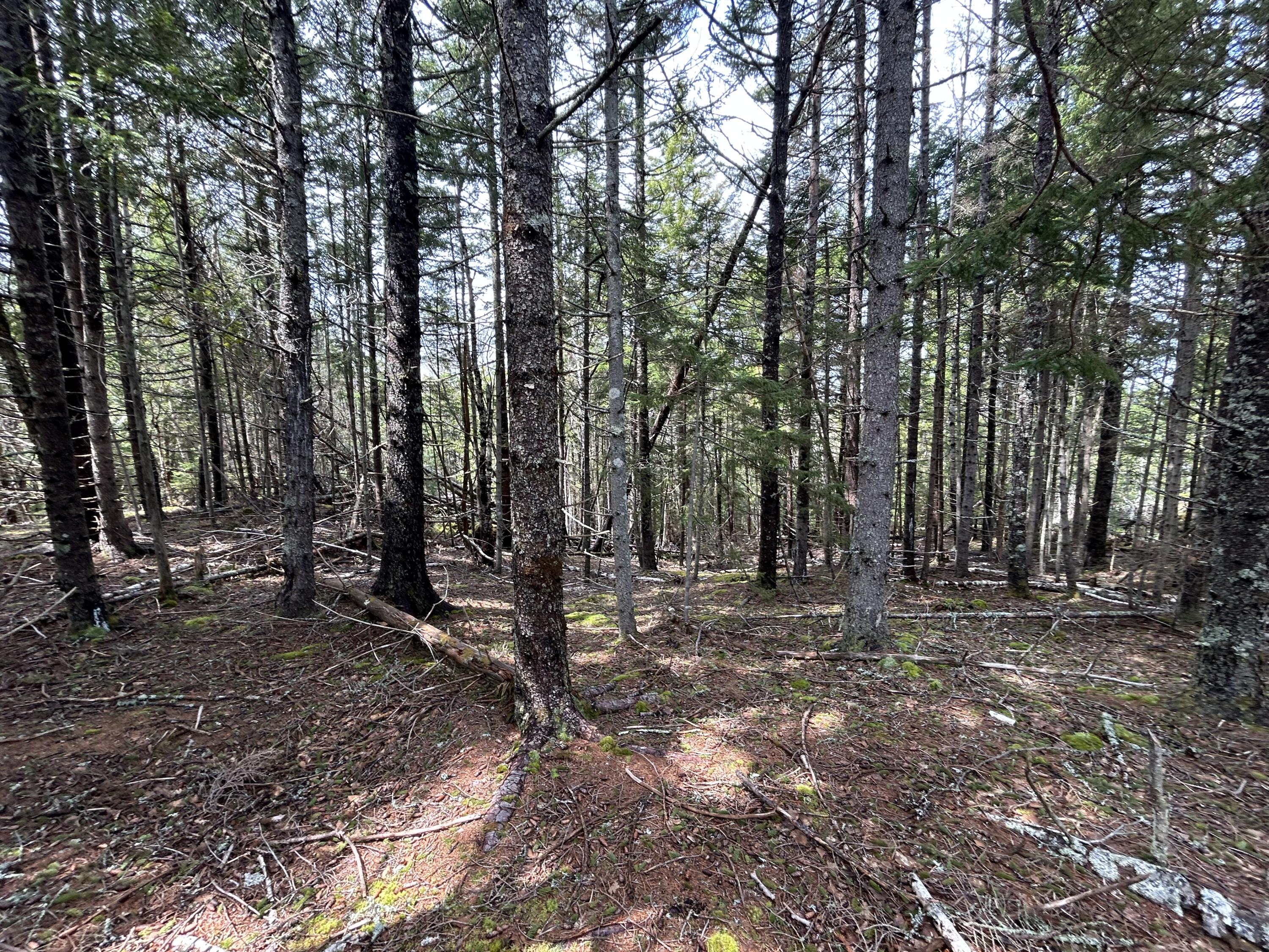Lot 4 North Shore Road Property Photo 5