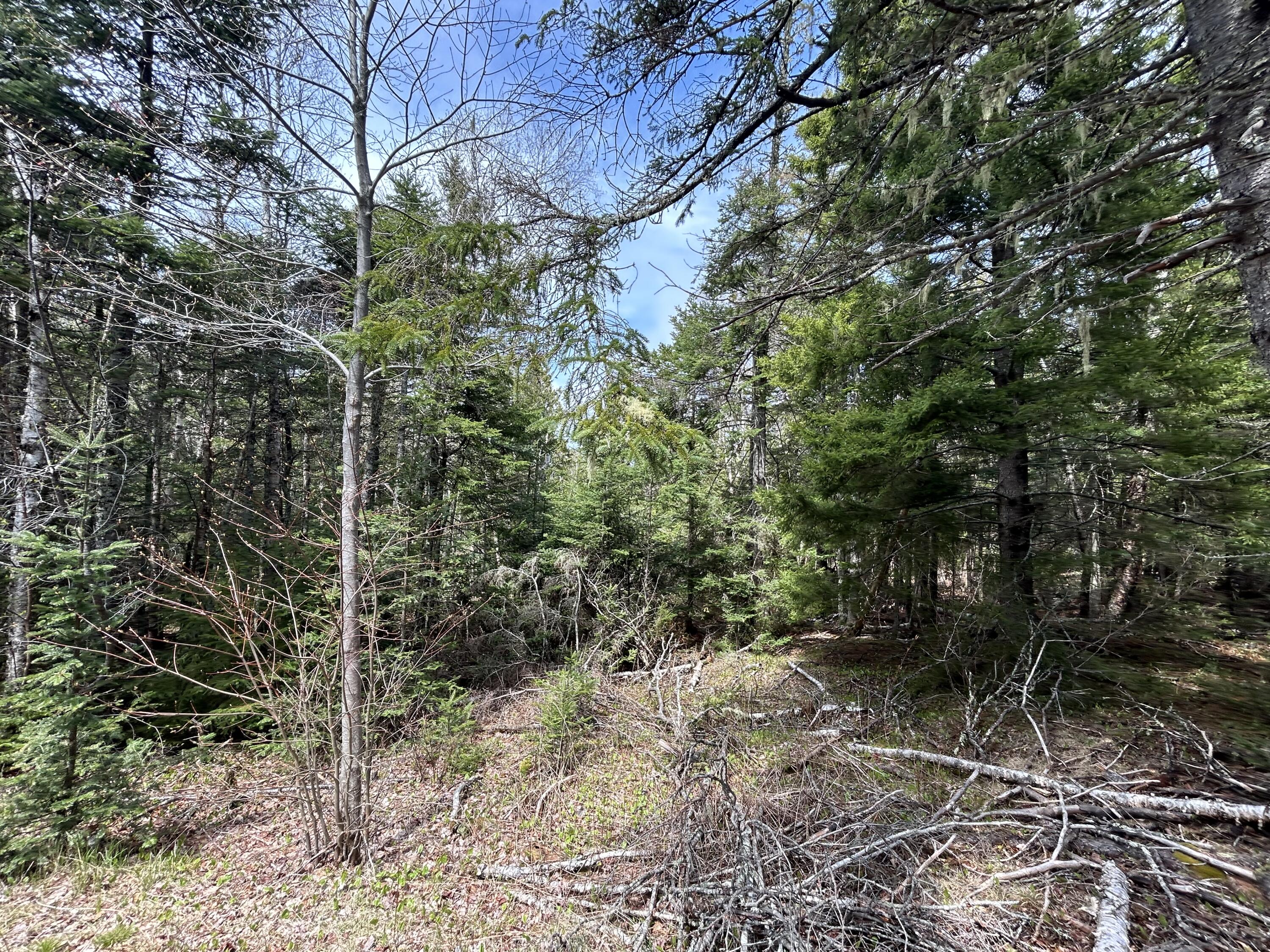 Lot 4 North Shore Road Property Photo 7