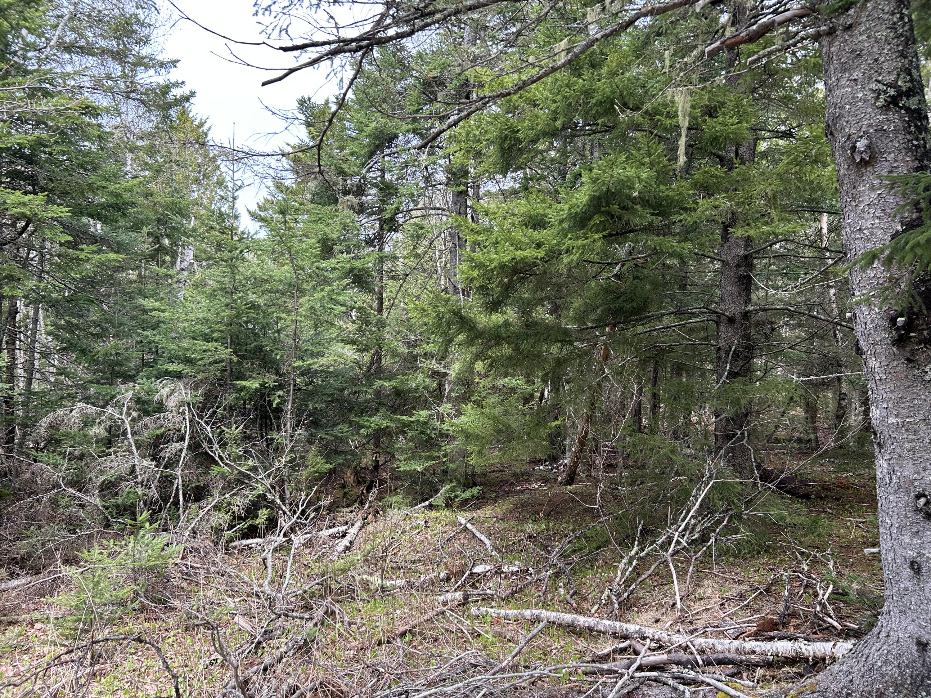 Lot 4 North Shore Road Property Photo 12