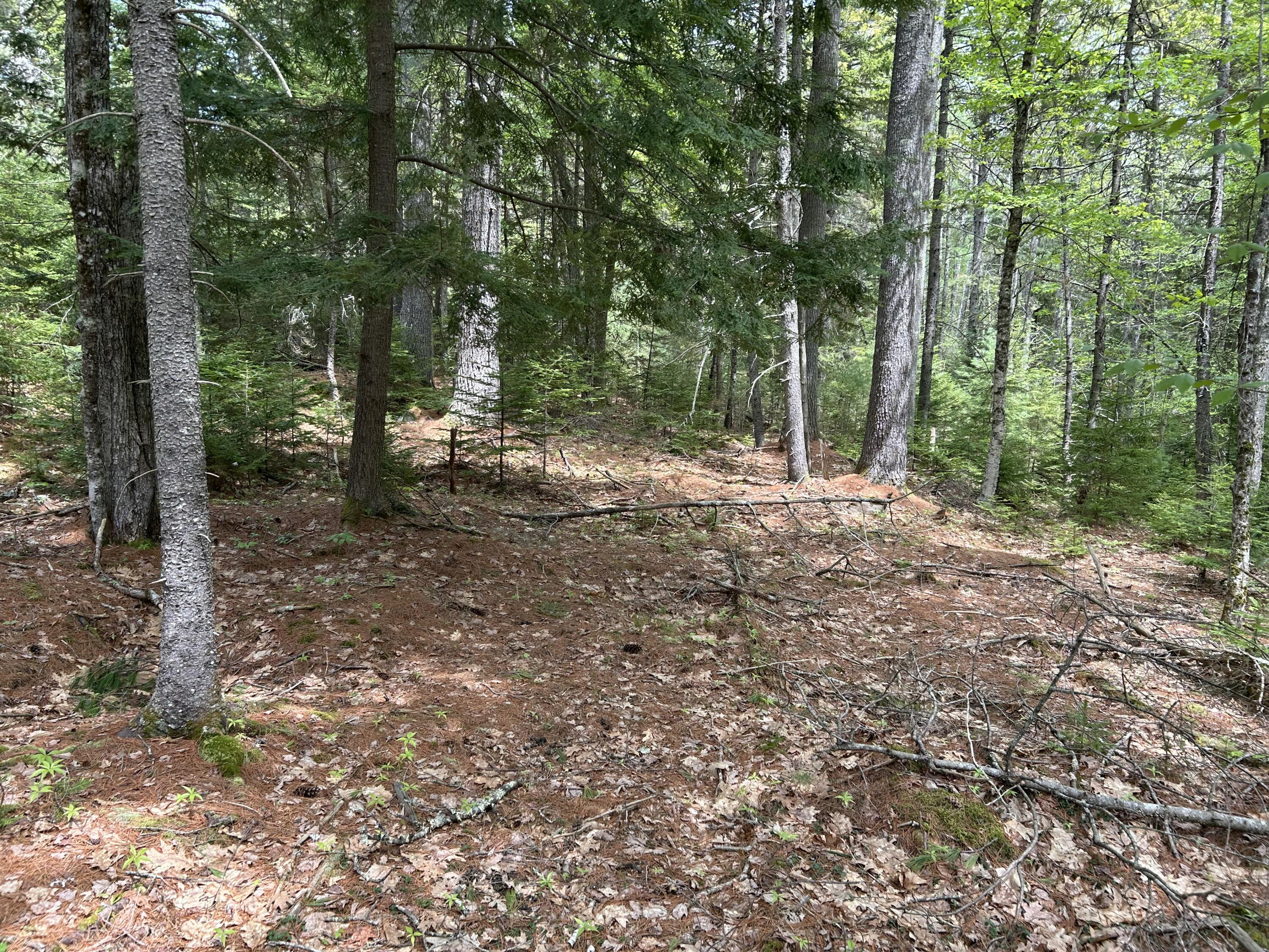 103 Ledges Circle Property Photo 4