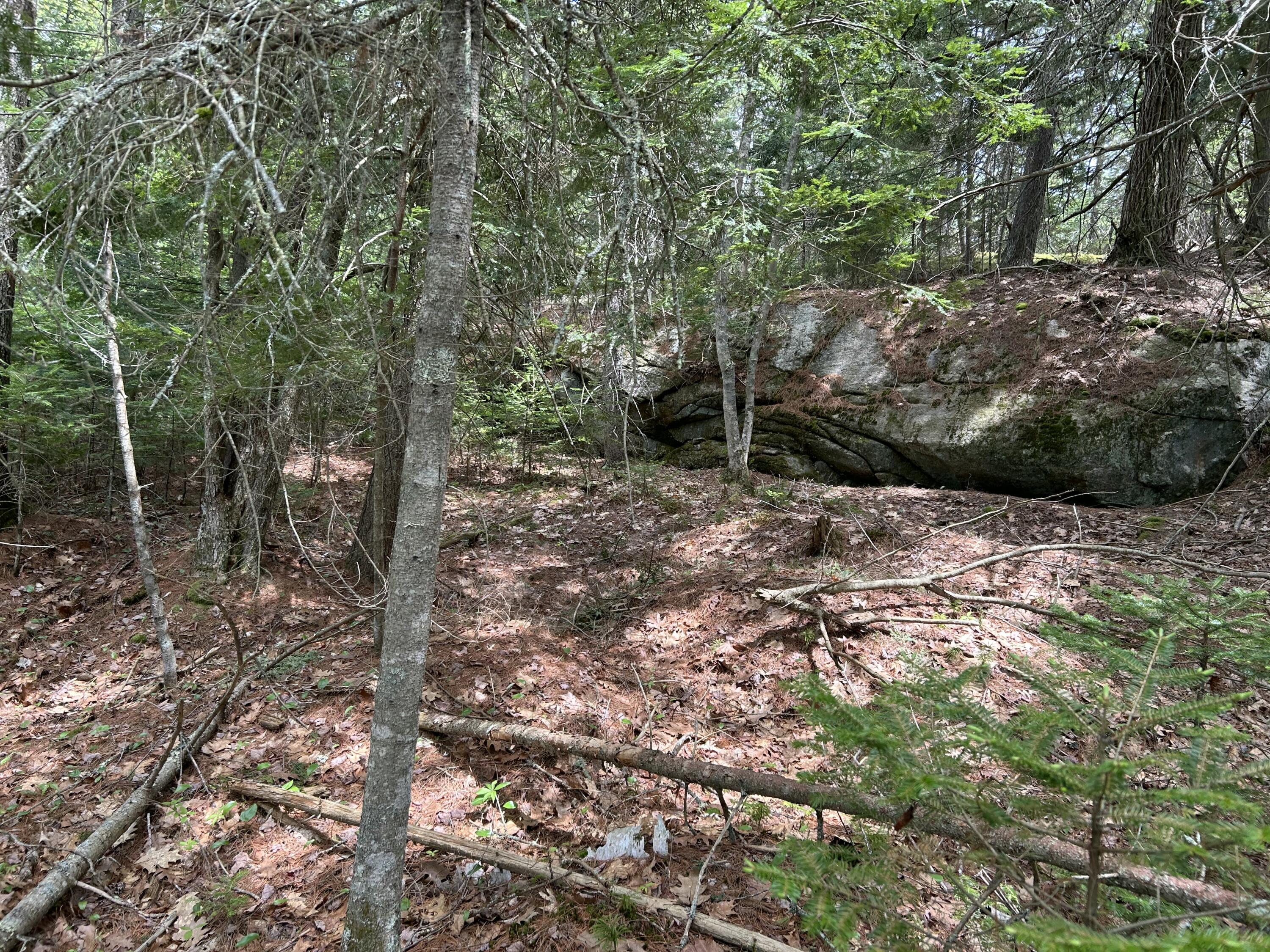 103 Ledges Circle Property Photo 7