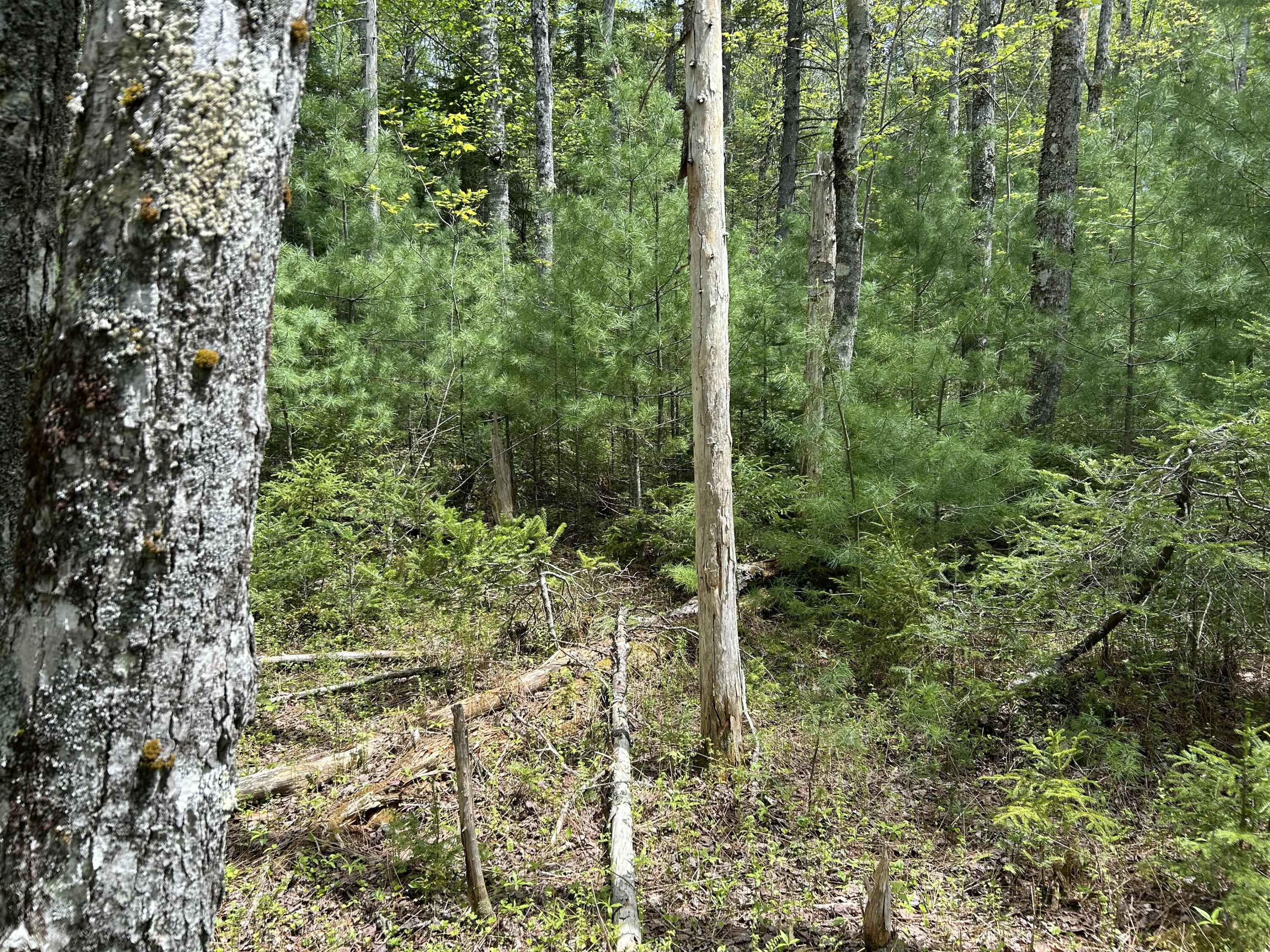 103 Ledges Circle Property Photo 12