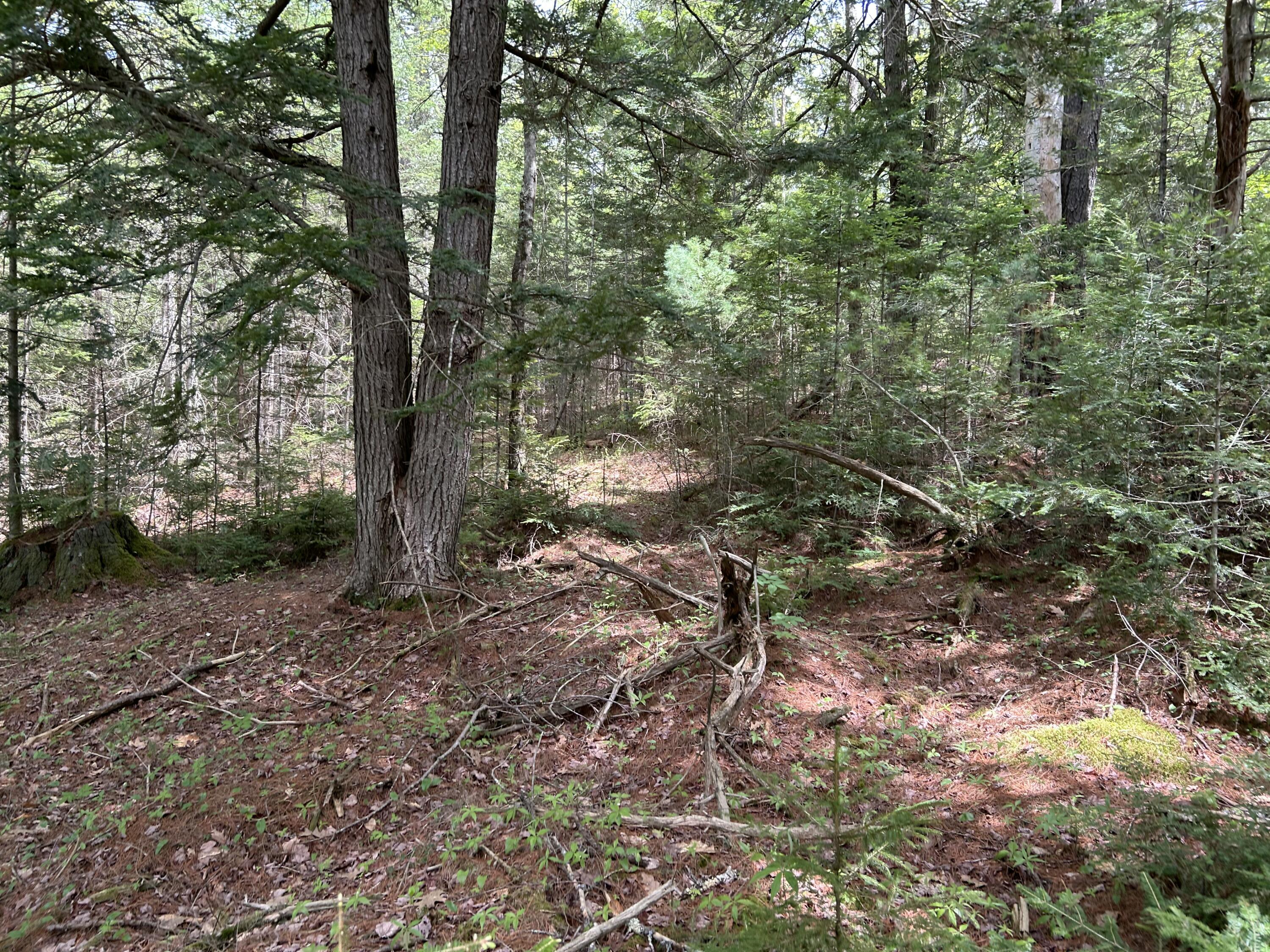 103 Ledges Circle Property Photo 20