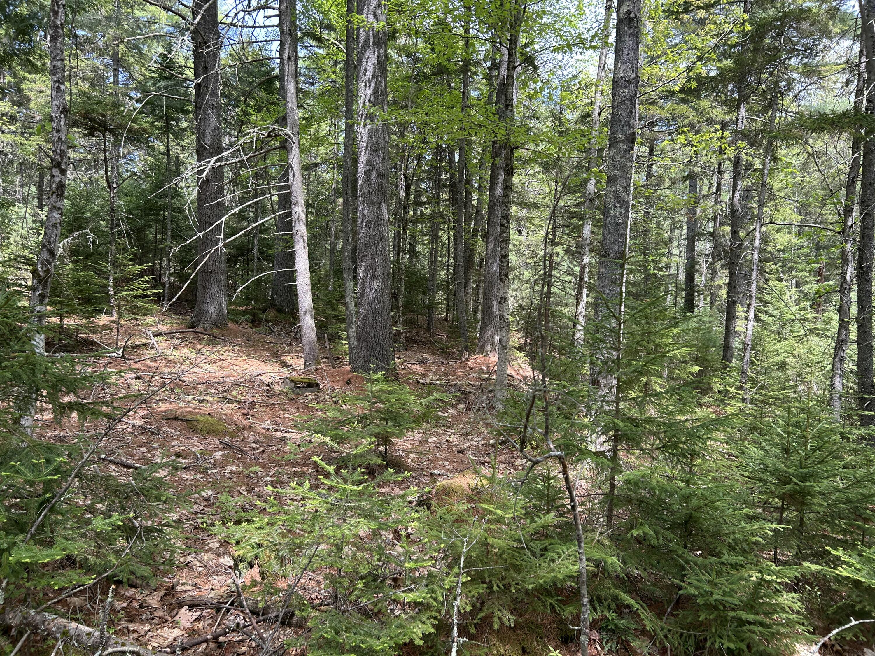103 Ledges Circle Property Photo 24
