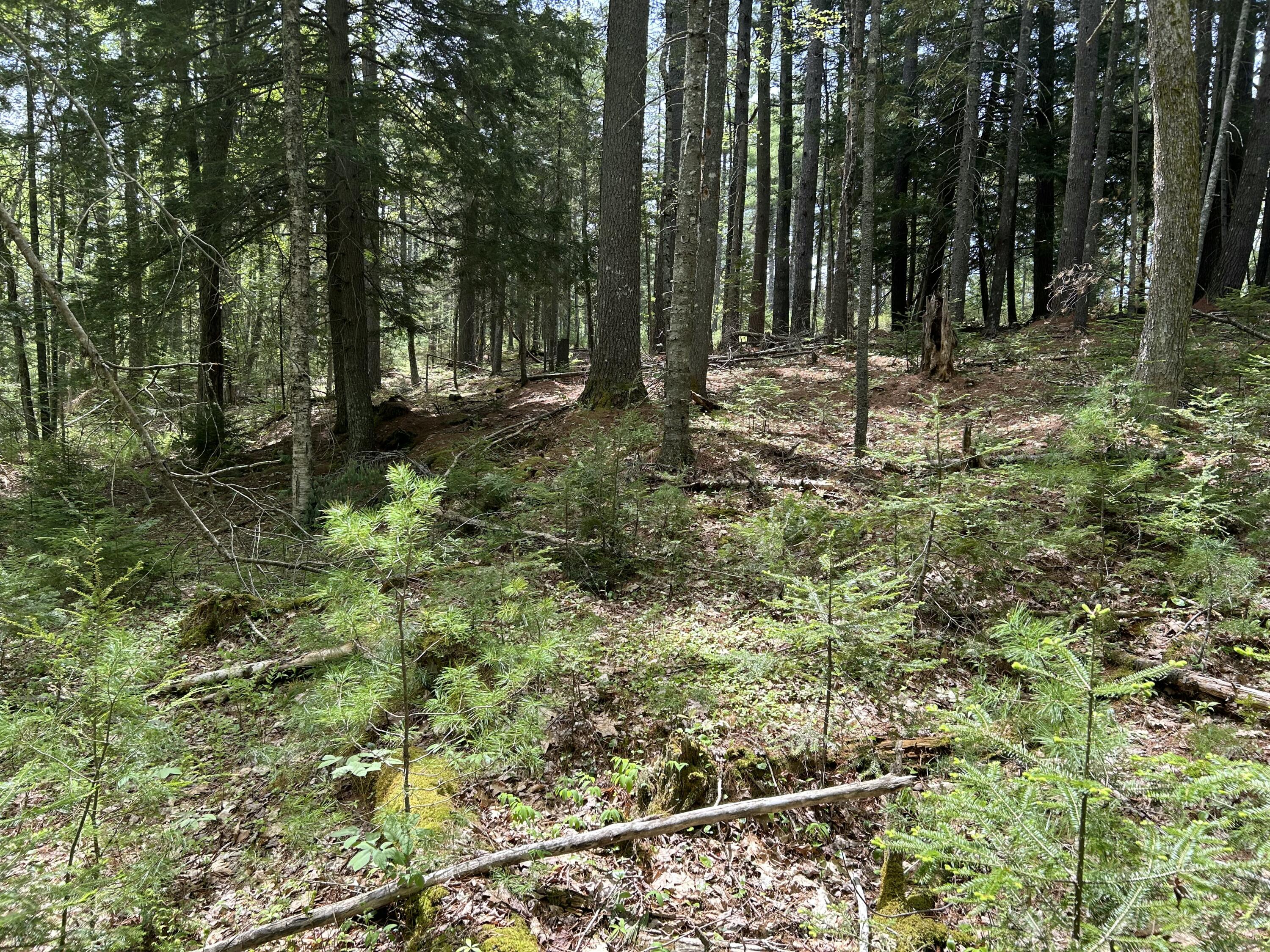 103 Ledges Circle Property Photo 28