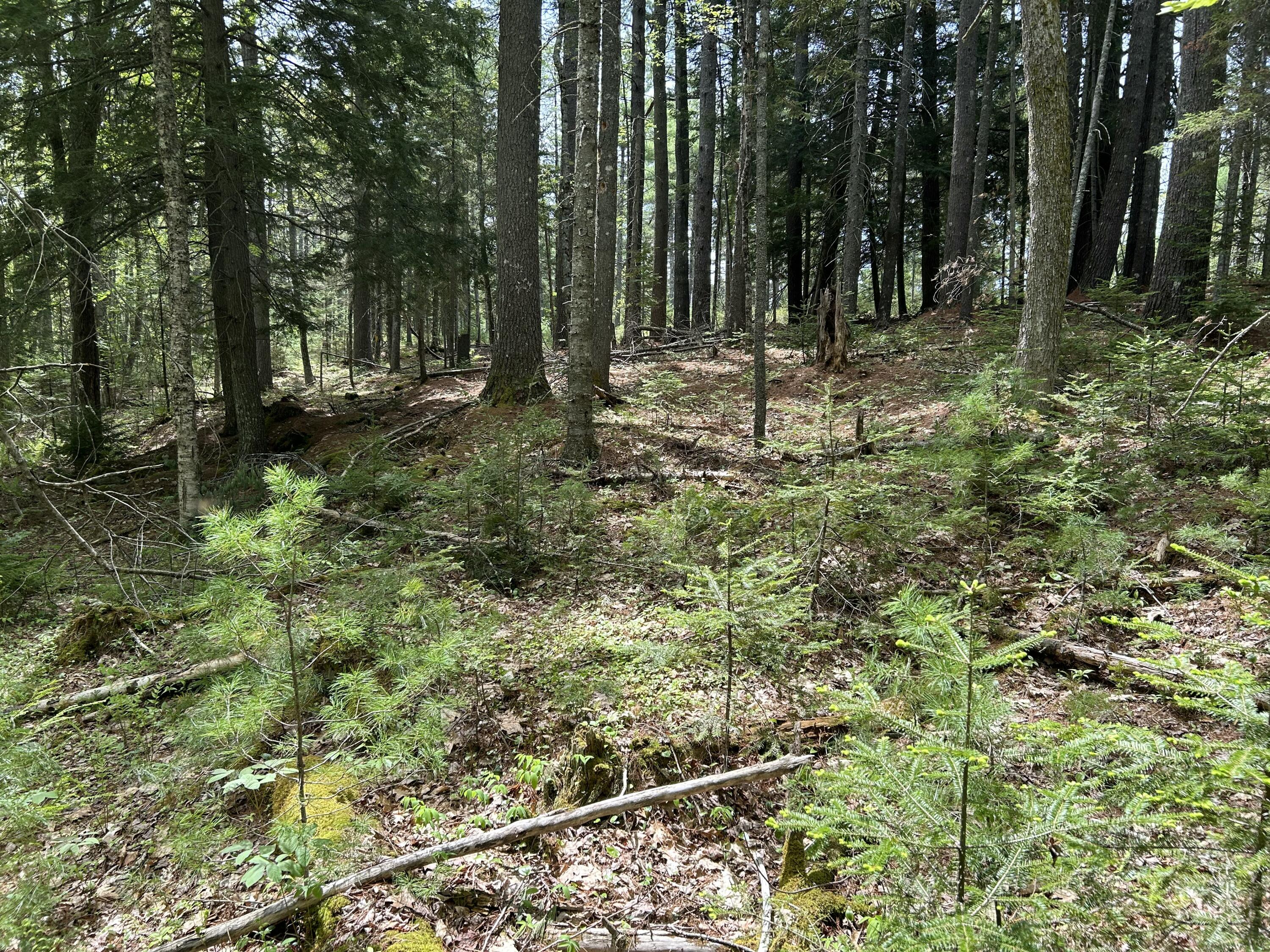 103 Ledges Circle Property Photo 30