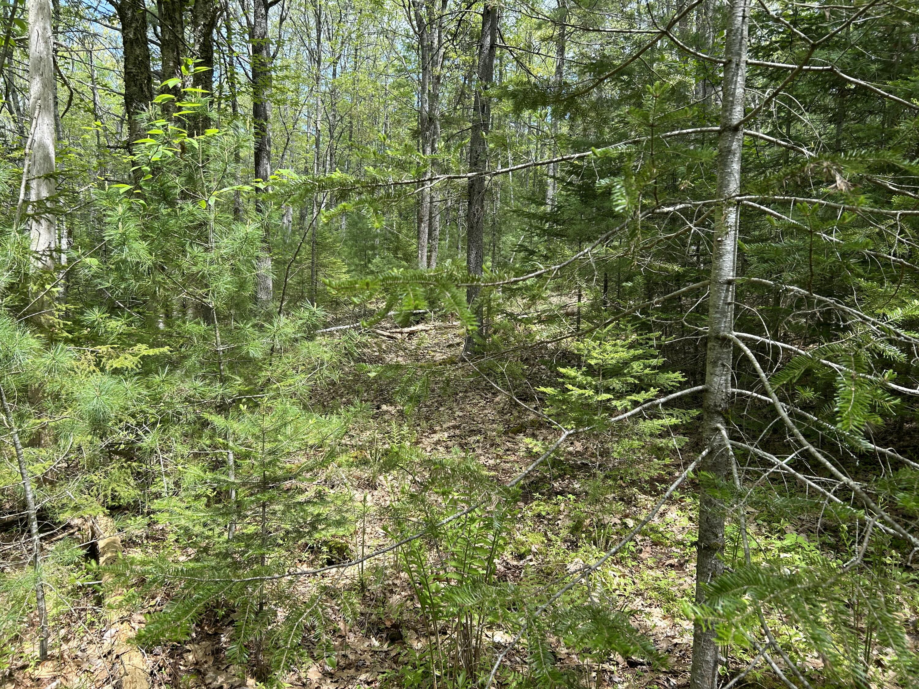 103 Ledges Circle Property Photo 31