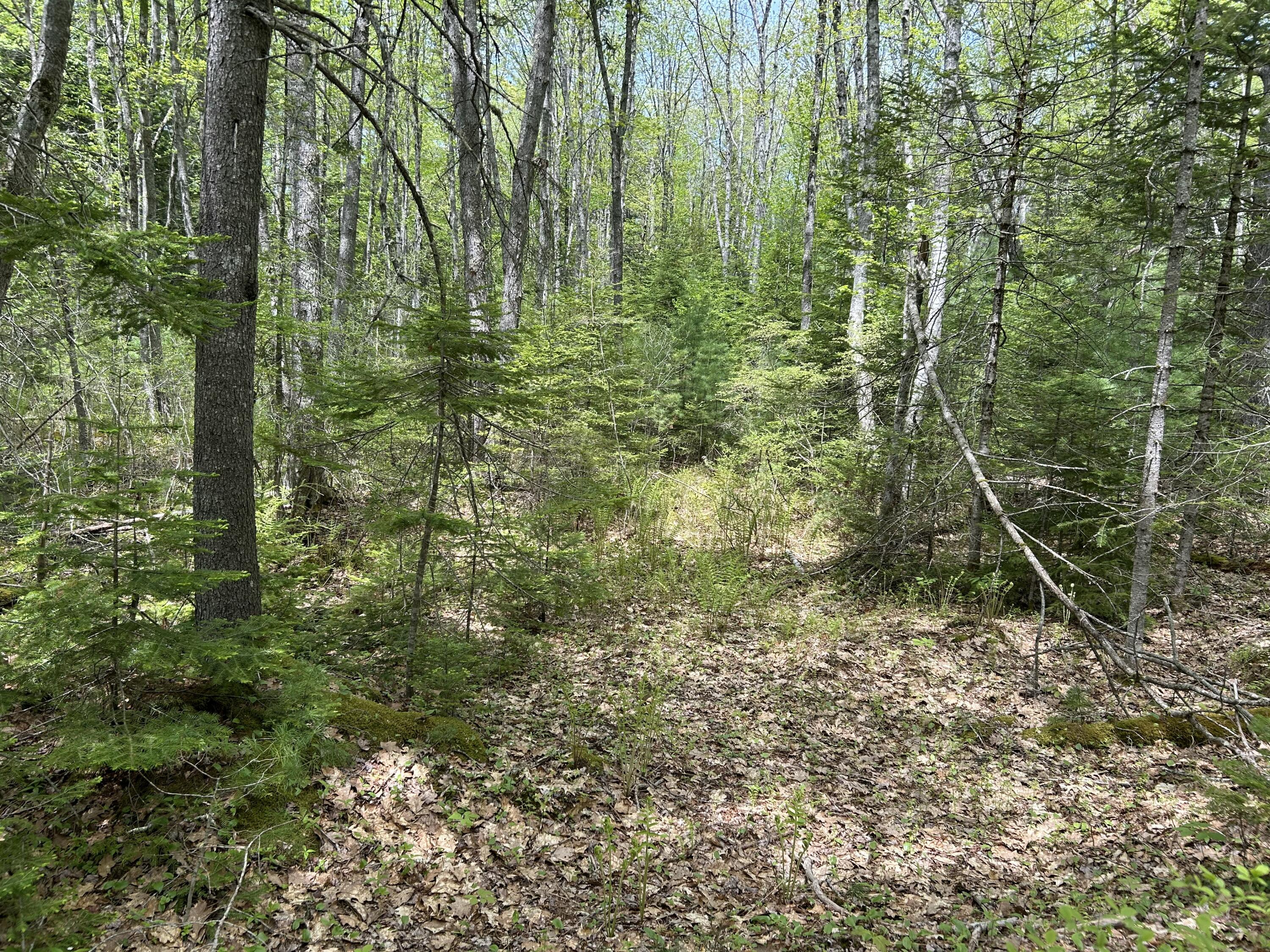 103 Ledges Circle Property Photo 33