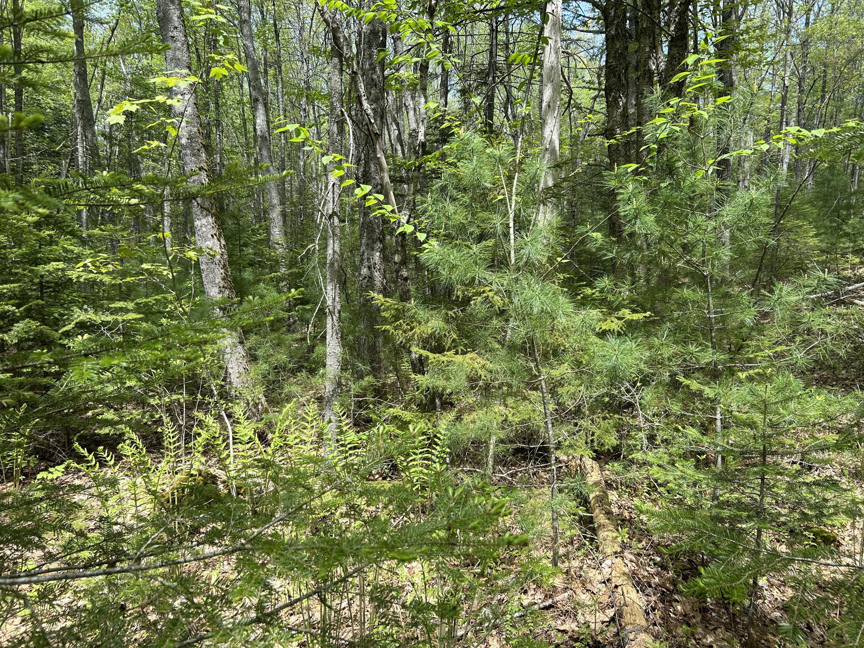 103 Ledges Circle Property Photo 36