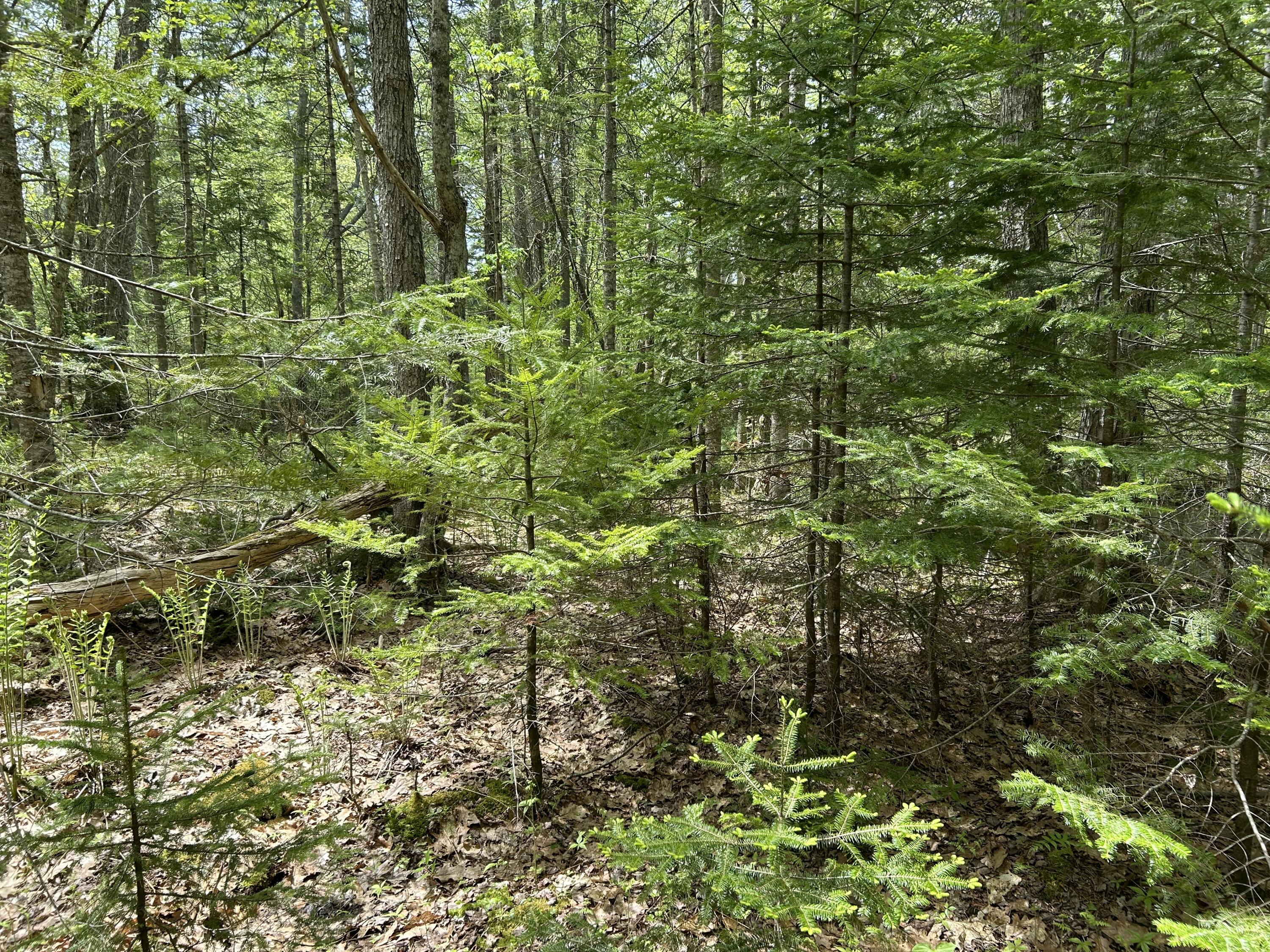 103 Ledges Circle Property Photo 37