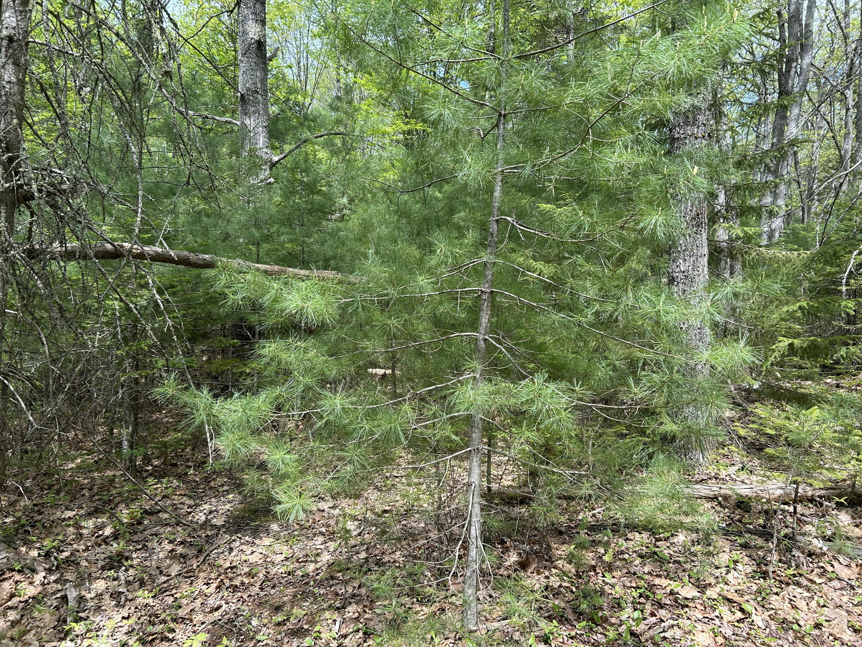 103 Ledges Circle Property Photo 38