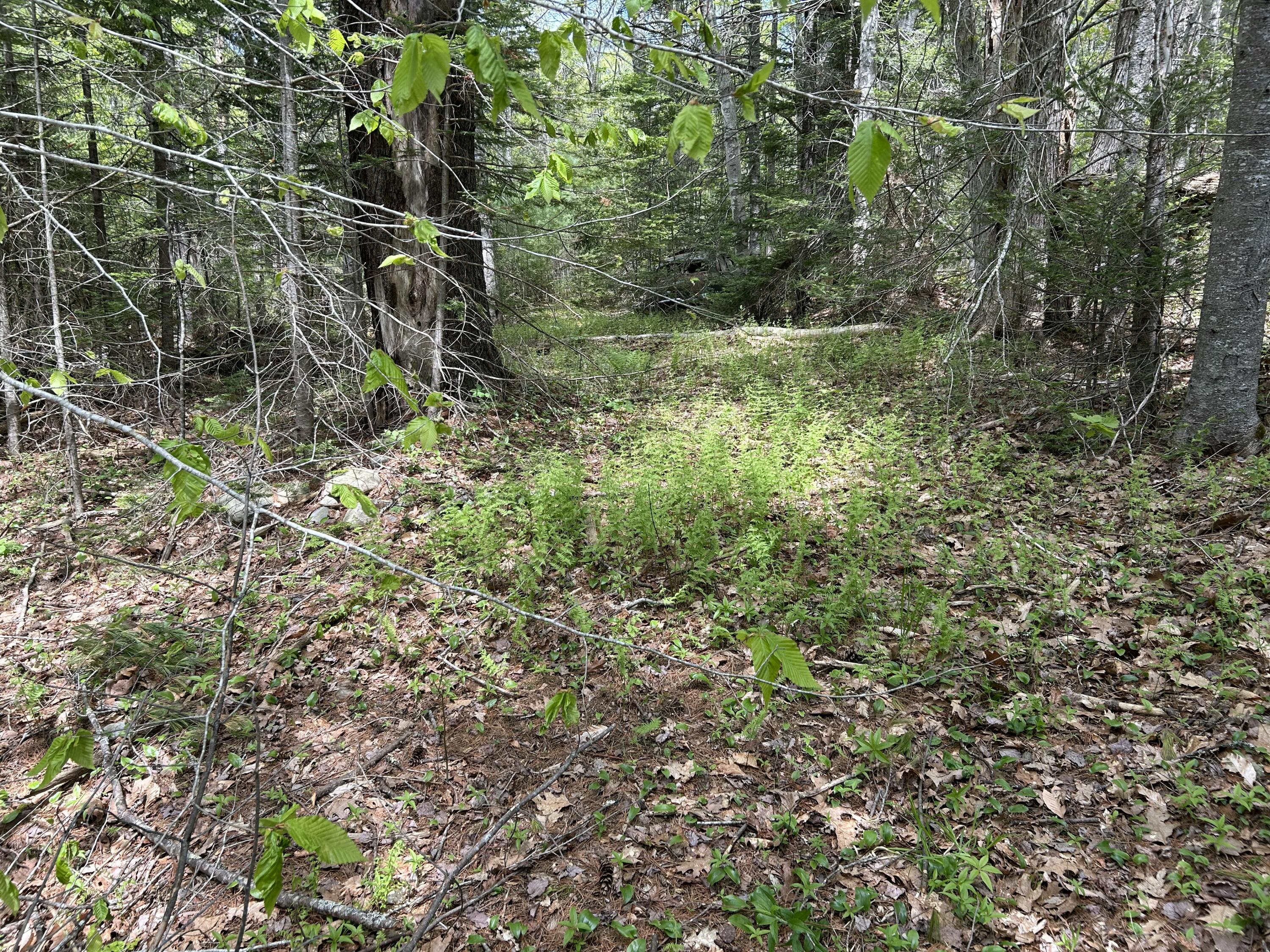 103 Ledges Circle Property Photo 41