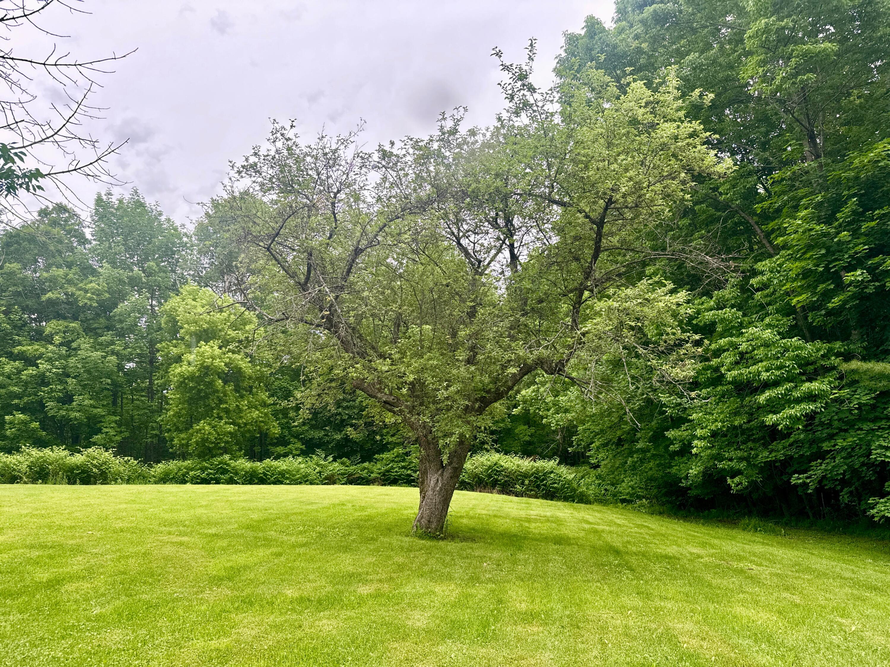 Lot 20-a Pine Street Property Photo 1