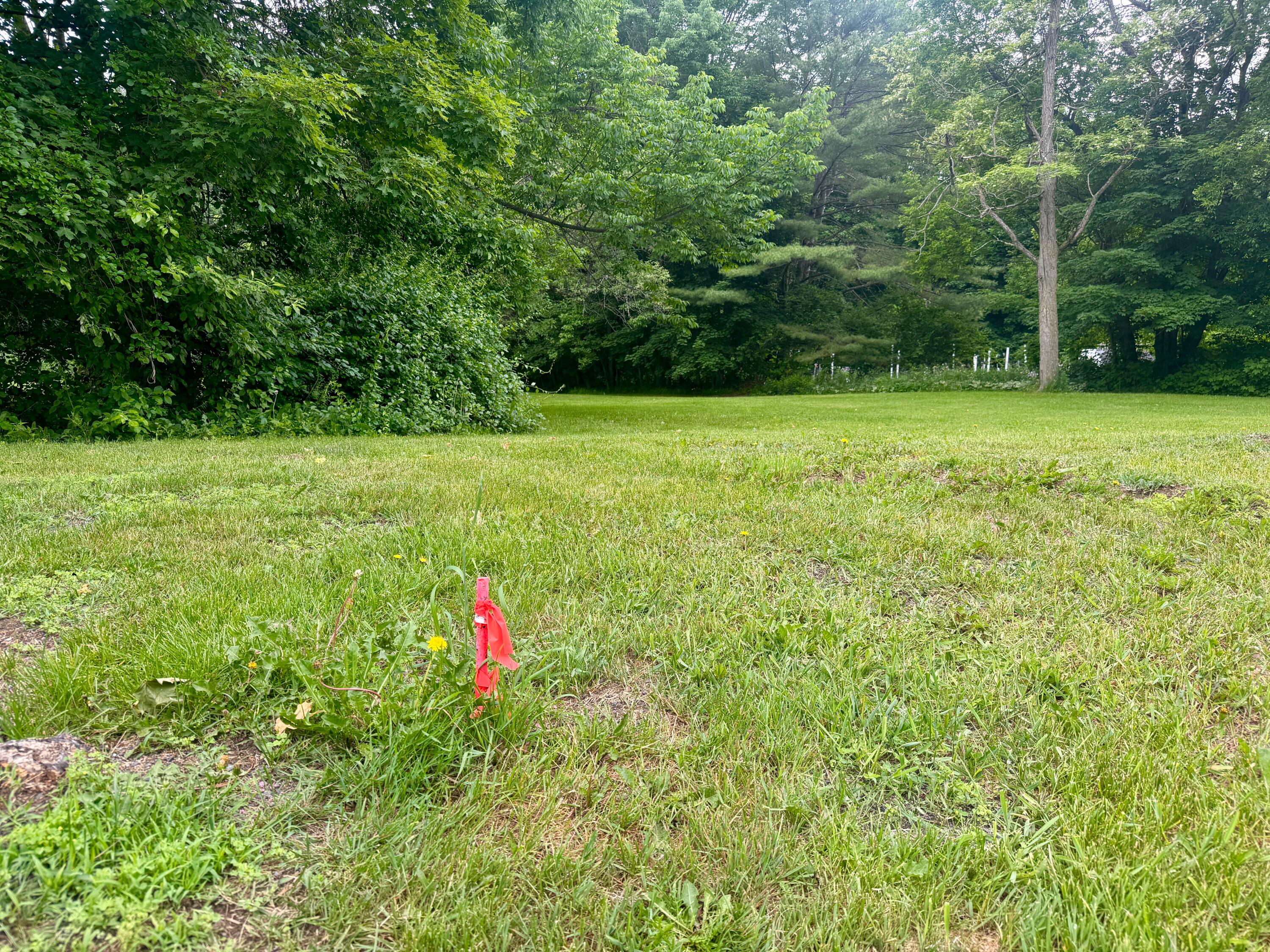 Lot 20-a Pine Street Property Photo 7