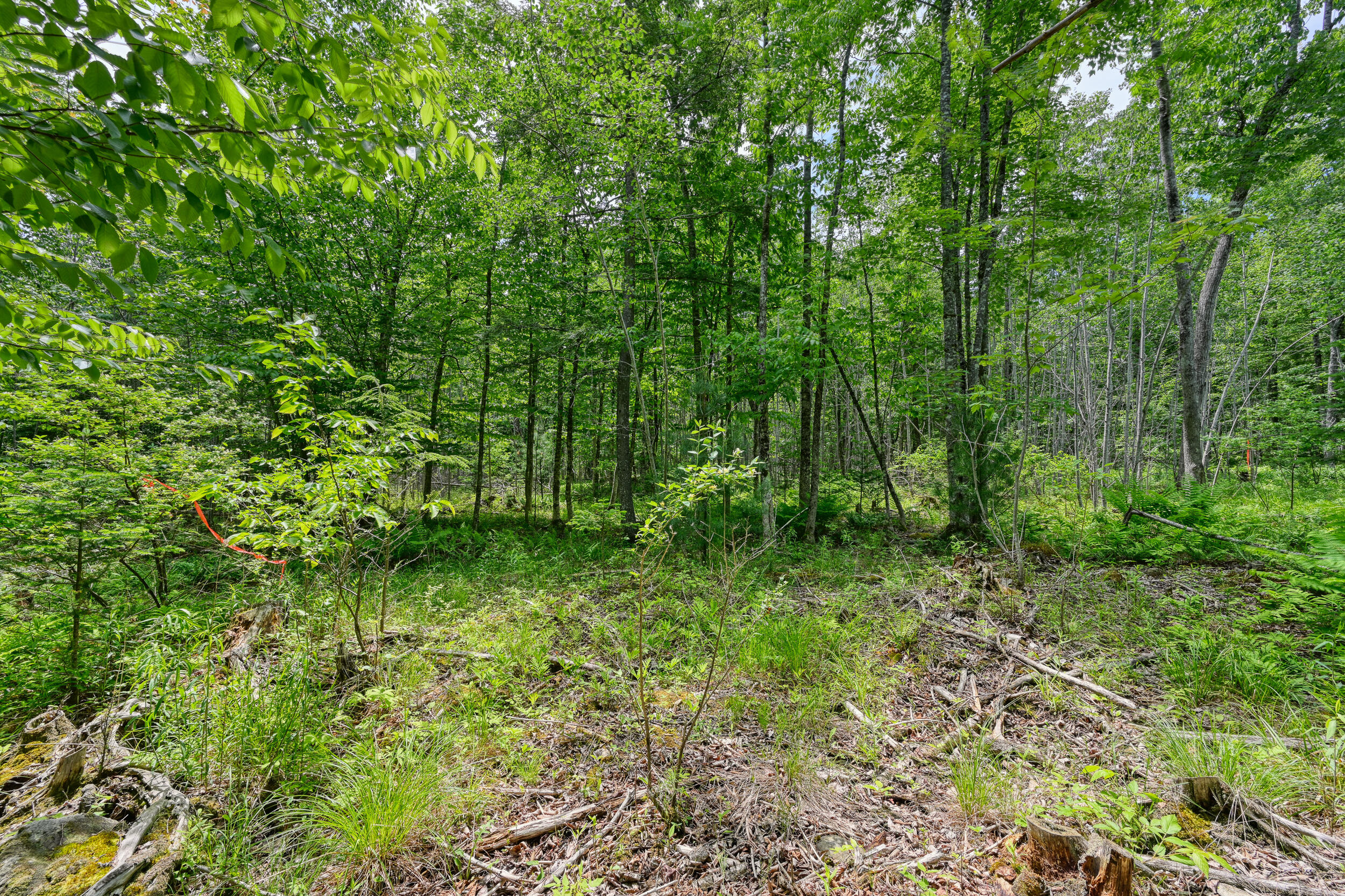 0 Macomber Road Property Photo 8