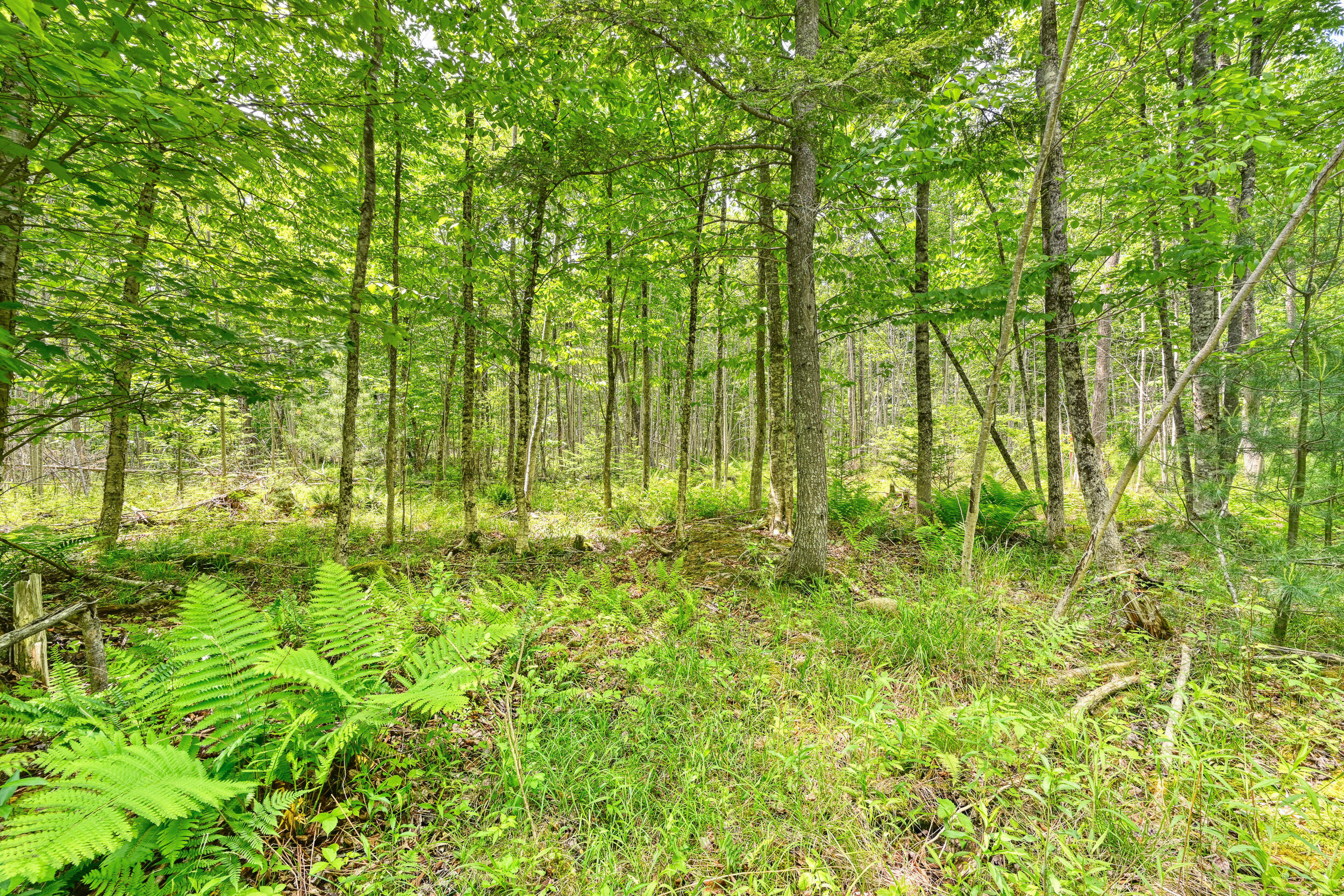 0 Macomber Road Property Photo 9