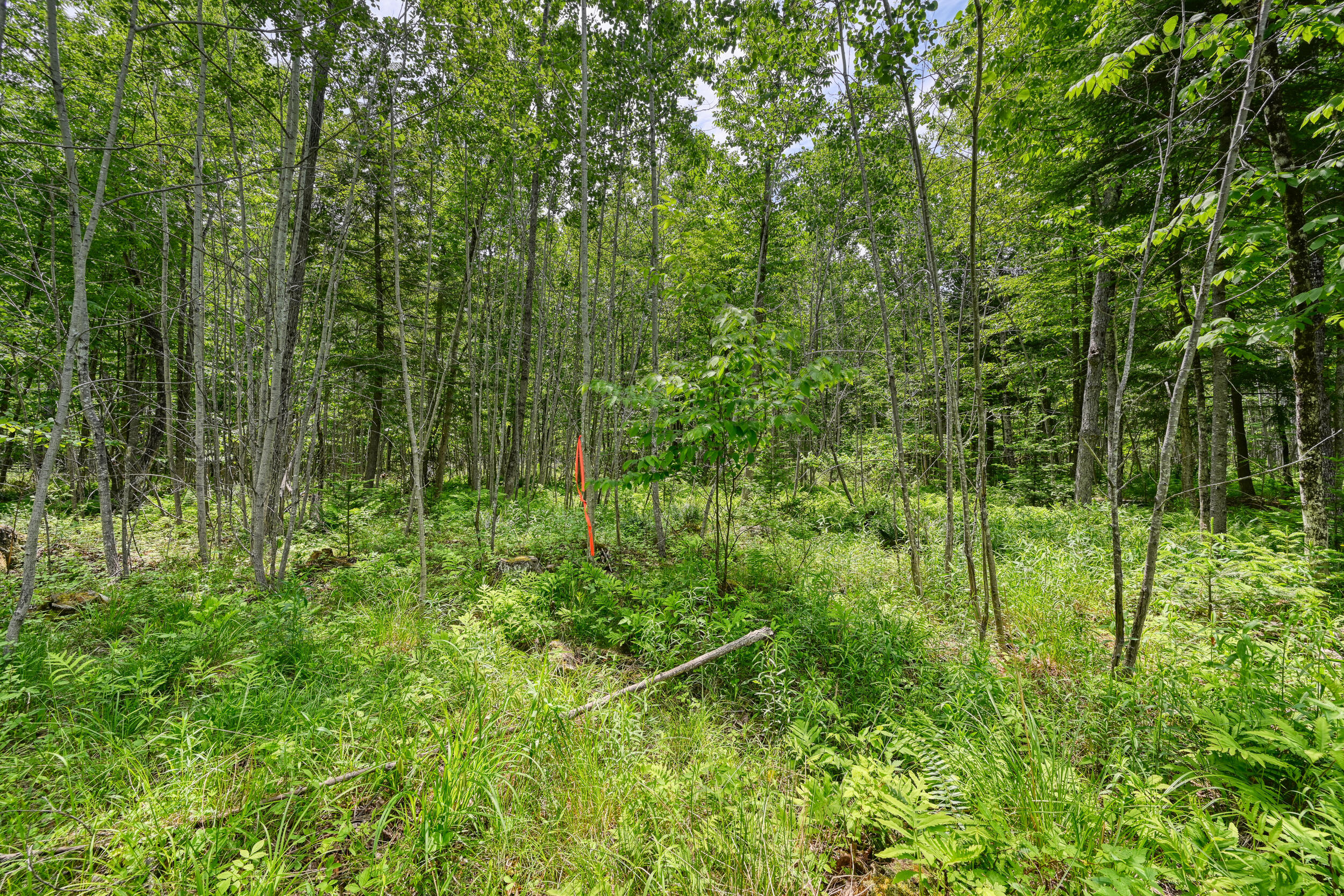 0 Macomber Road Property Photo 10