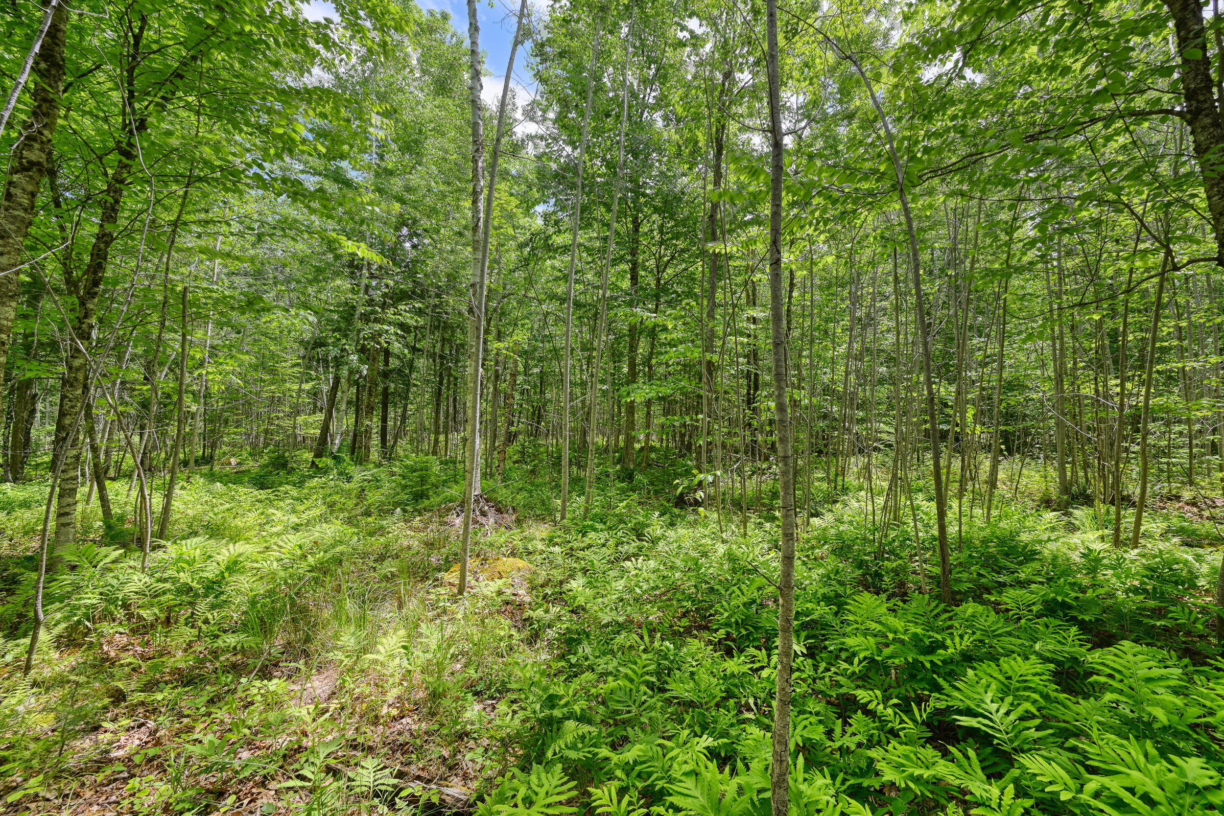 0 Macomber Road Property Photo 11