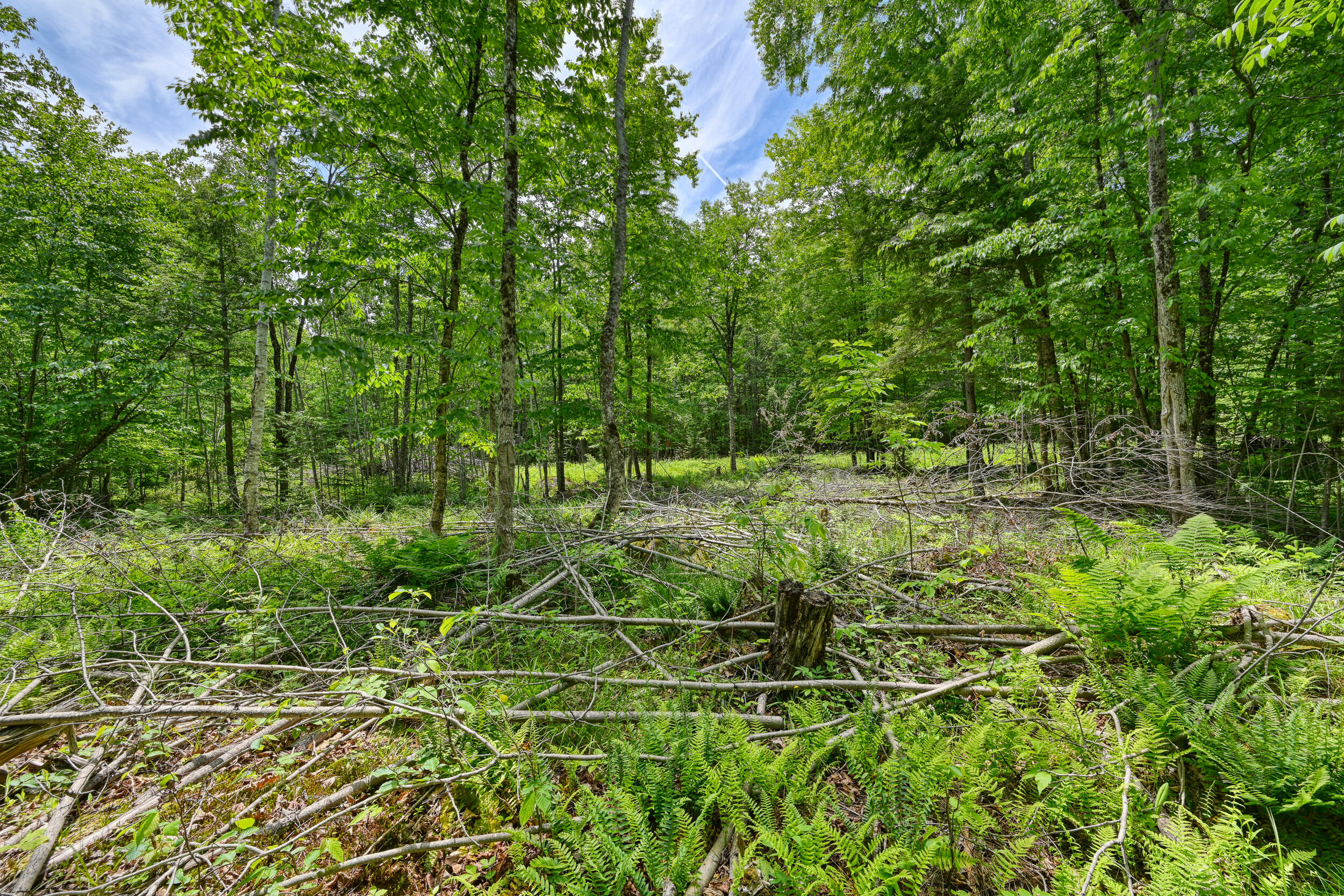0 Macomber Road Property Photo 12