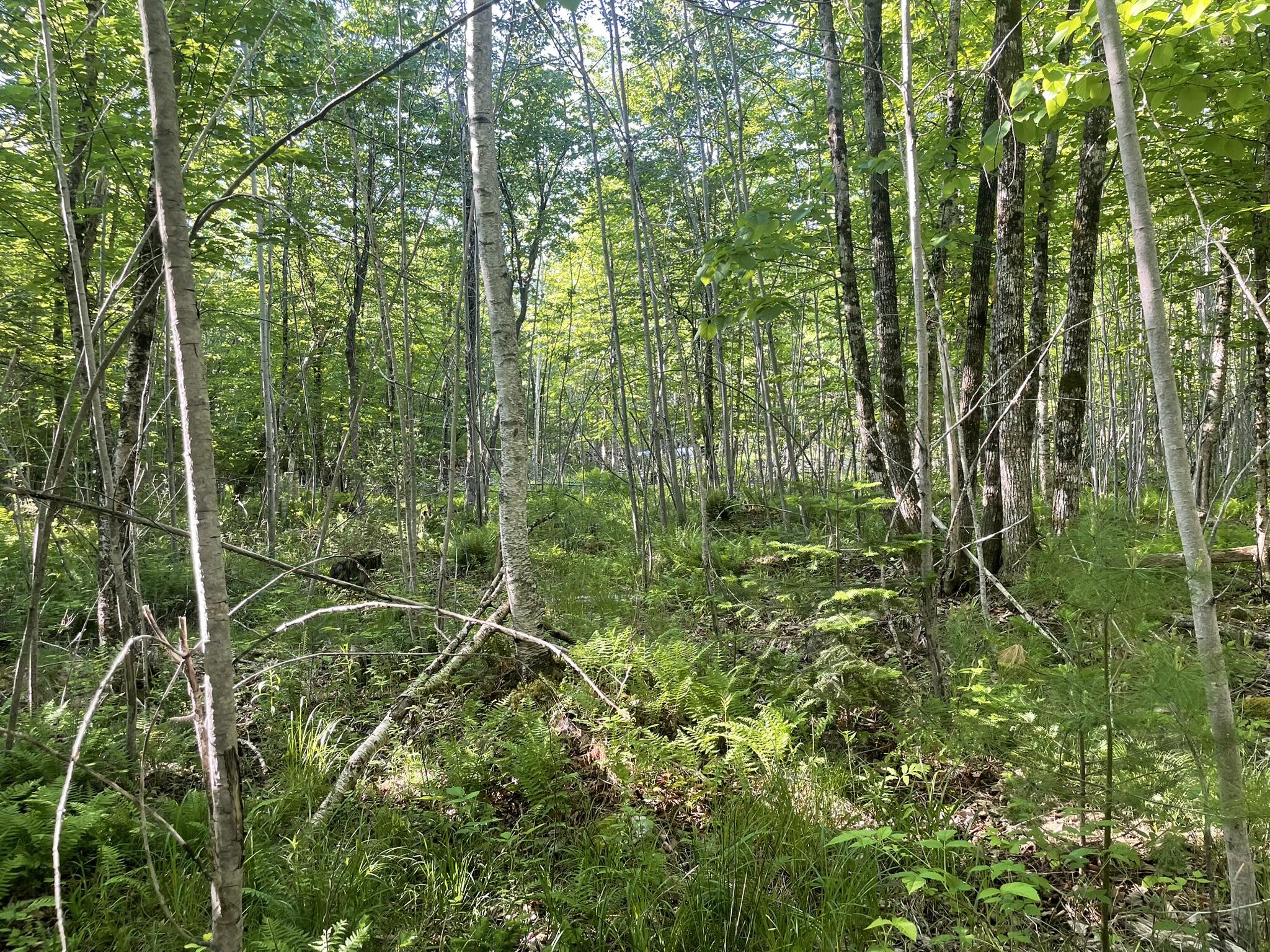 0 Macomber Road Property Photo 26
