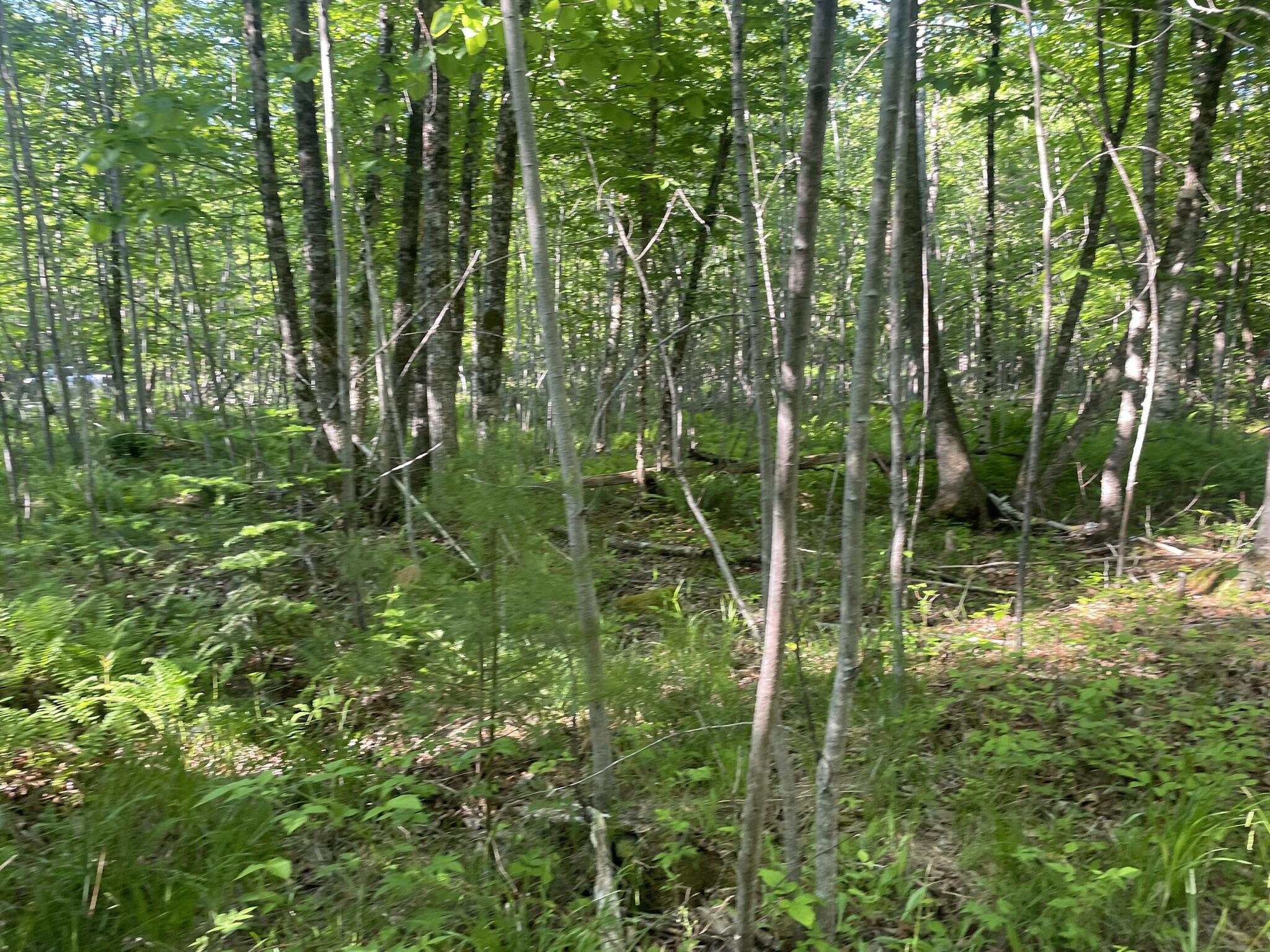 0 Macomber Road Property Photo 29